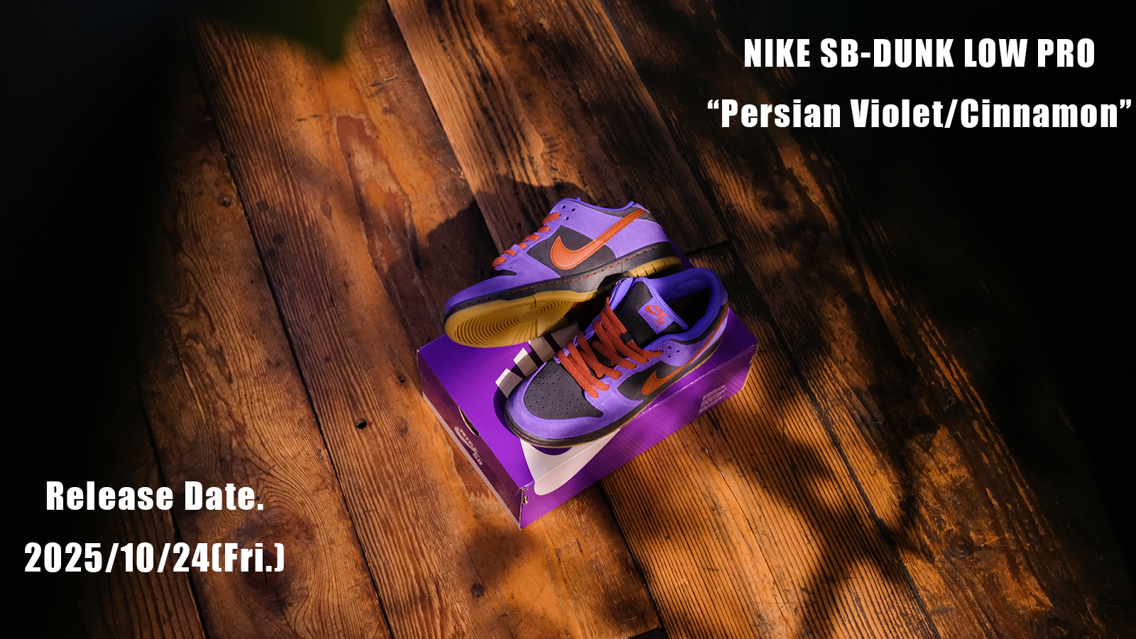NIKE SB - DUNK LOW PRO
