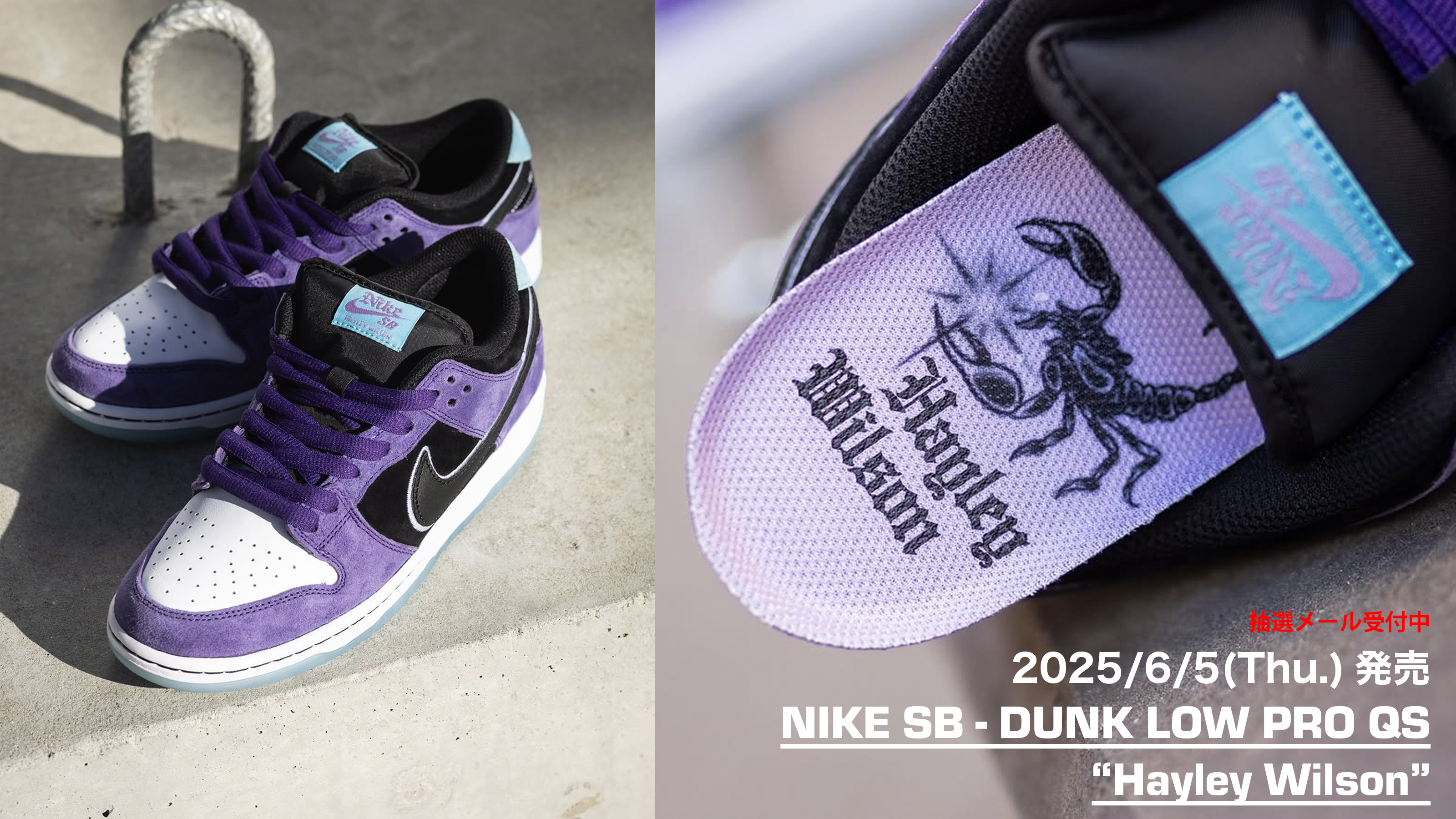 HAYLEY WILSON x NIKE SB DUNK LOW PRO