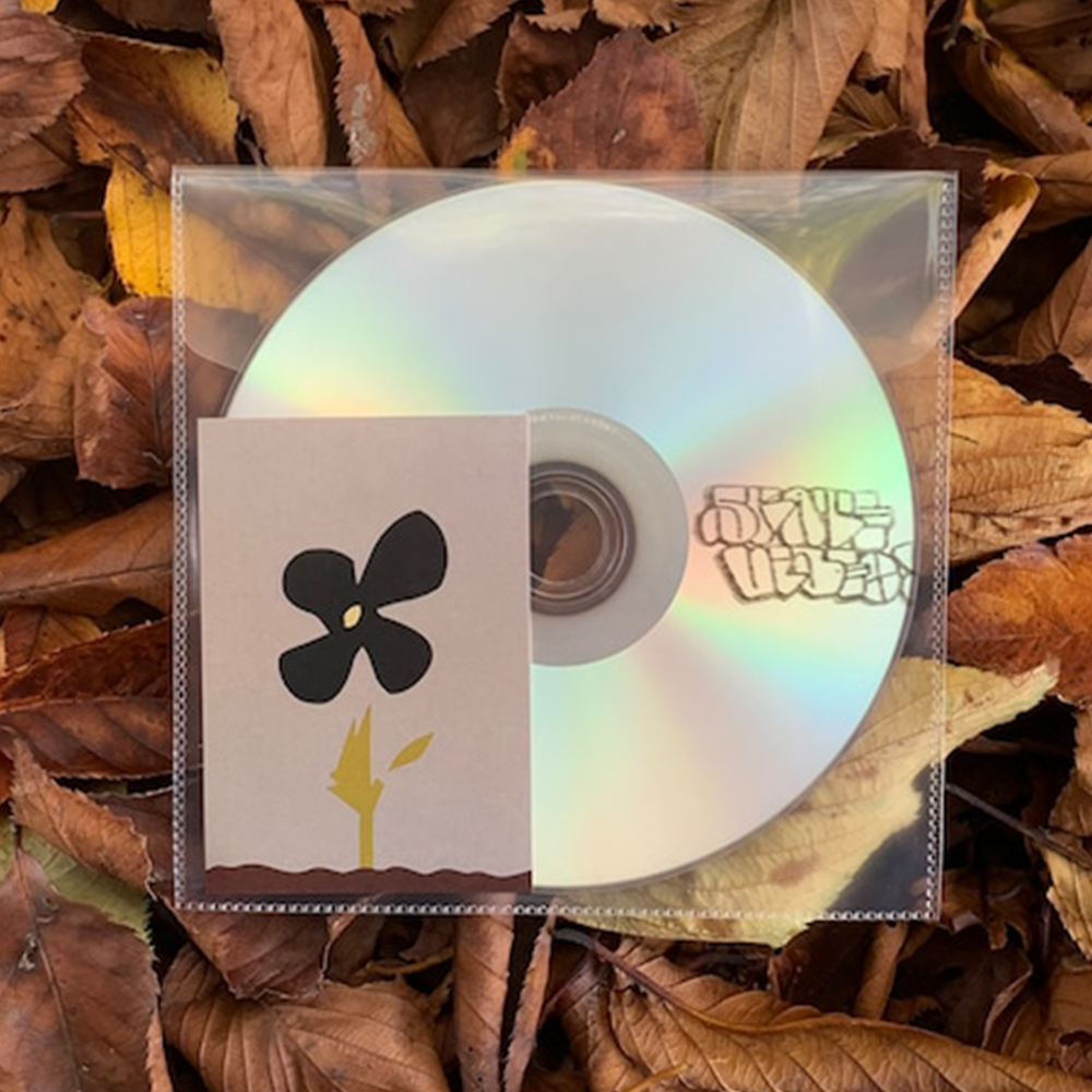 "SKATE VIDEO" -  DVD