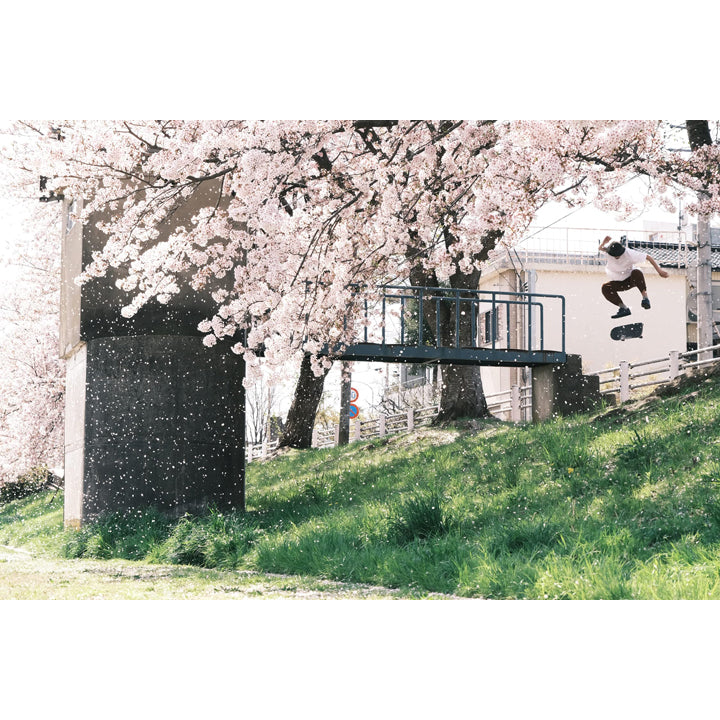 川 雑誌 5・野生