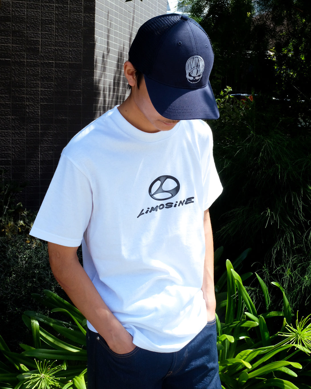 STYLE SAMPLE 2026-8-12<br>LIMOSINE + ARETH