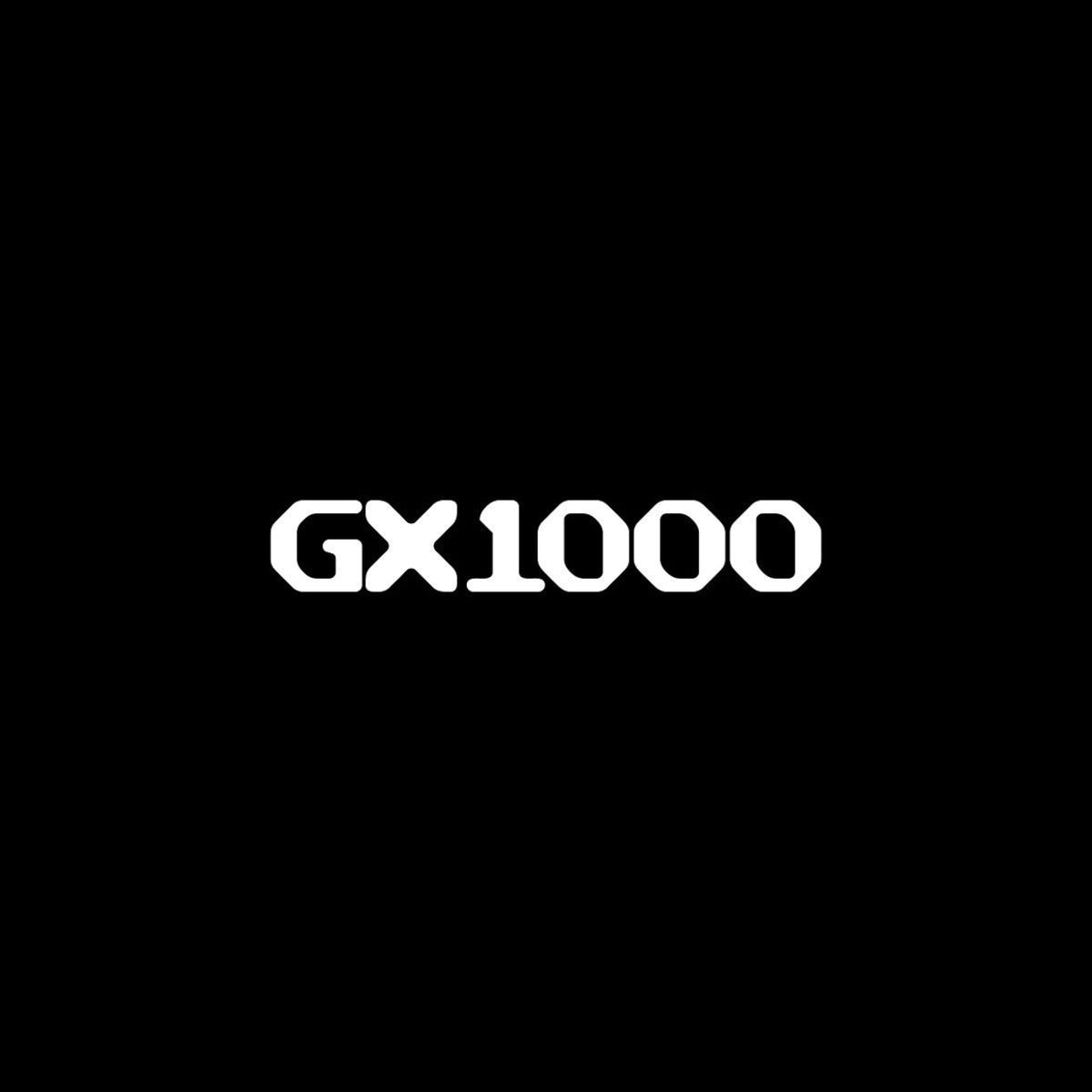 GX1000とは？<br>- SFから生まれたストリートスケートブランド -