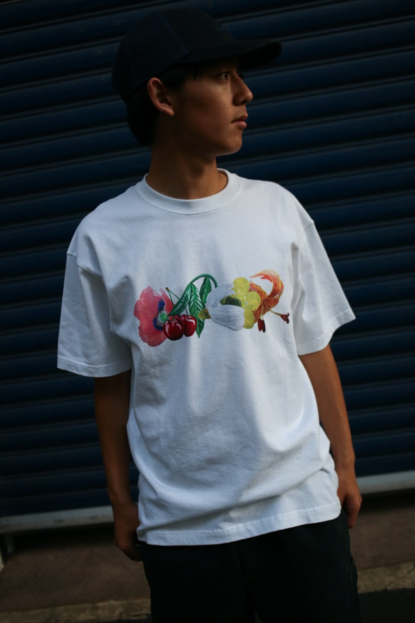 STYLE SAMPLE 2026-5-10<br>DANCER+POLAR+ADIDAS