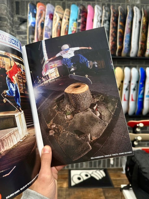 Reiji Hasegawa - Skip Flip