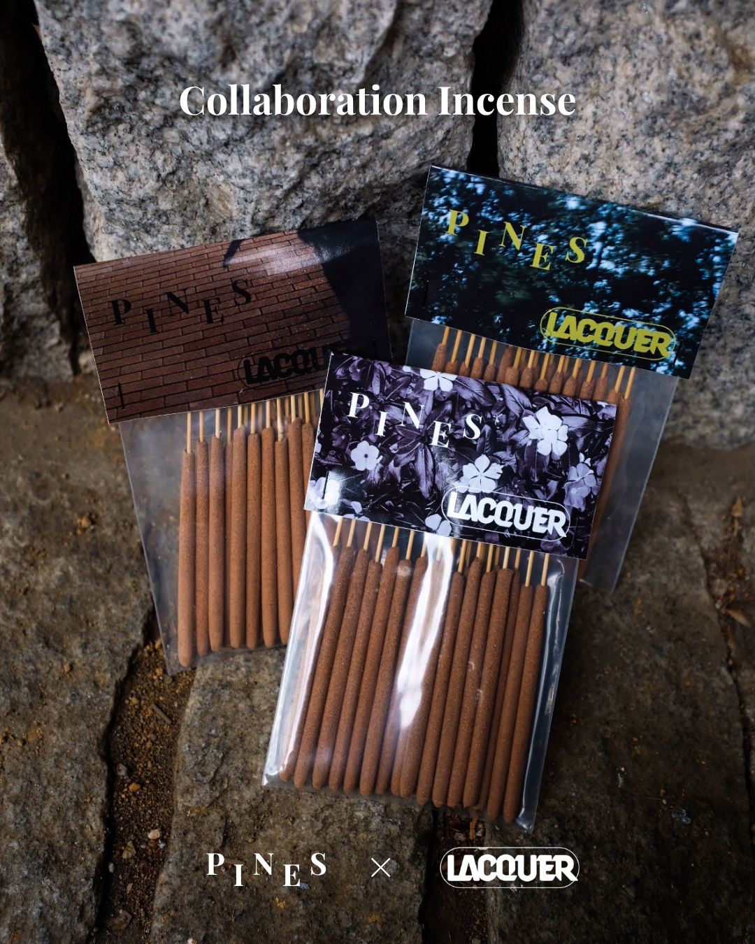 PINES x LACQUER Collaboration