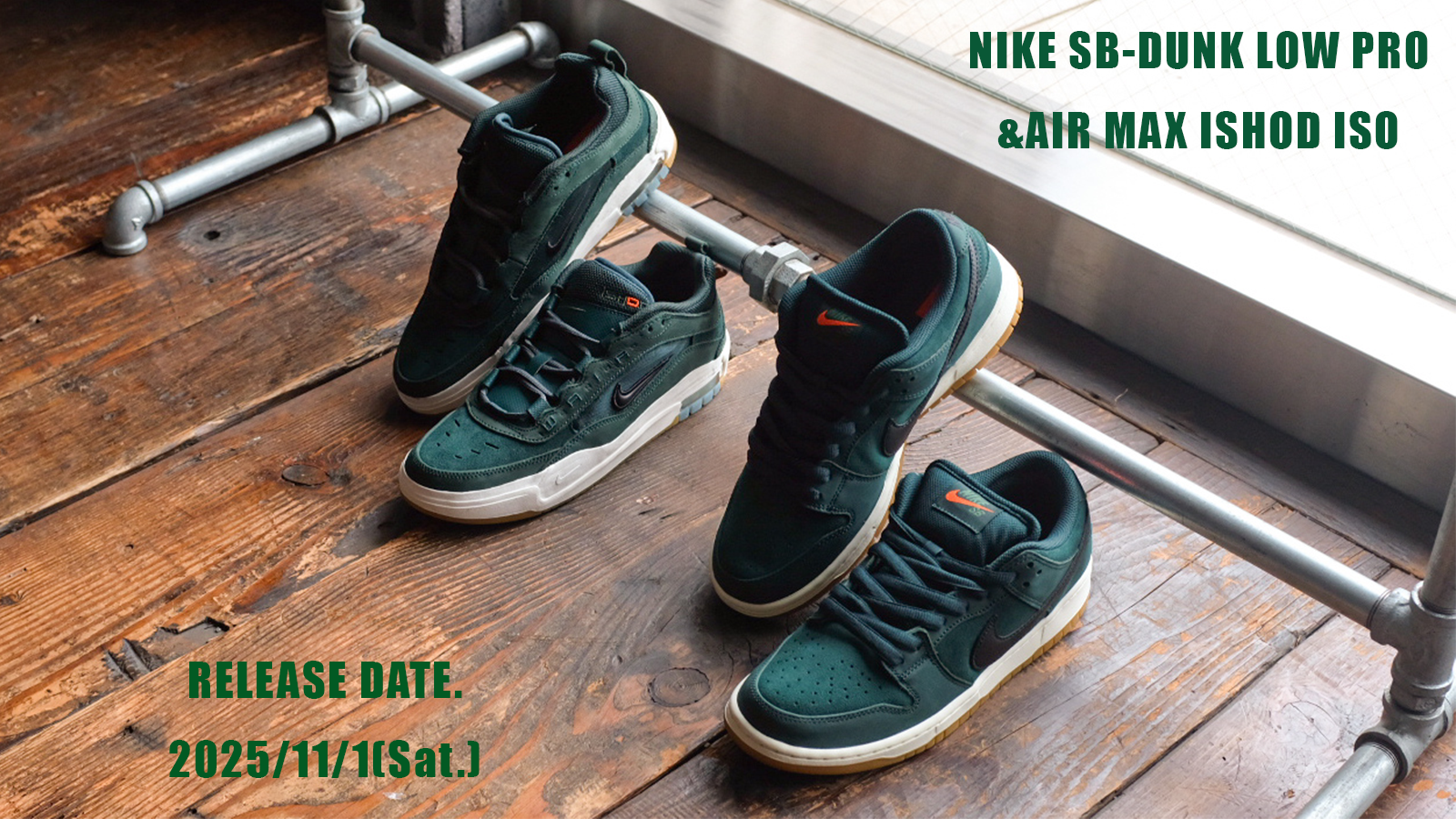 NIKE SB - Dunk Low Pro & Air Max Ishod Iso 