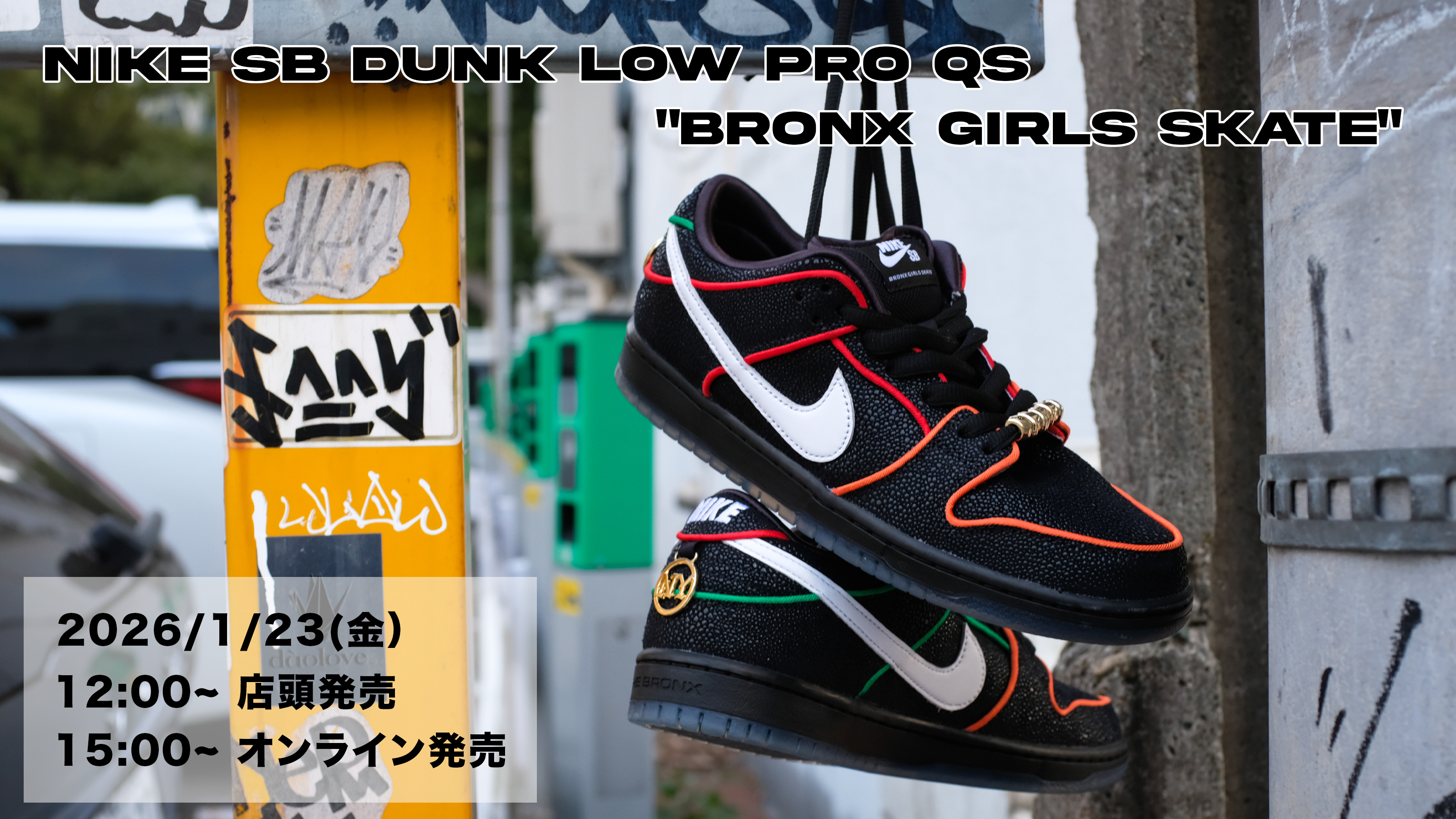 Nike SB Dunk Low Pro QS 