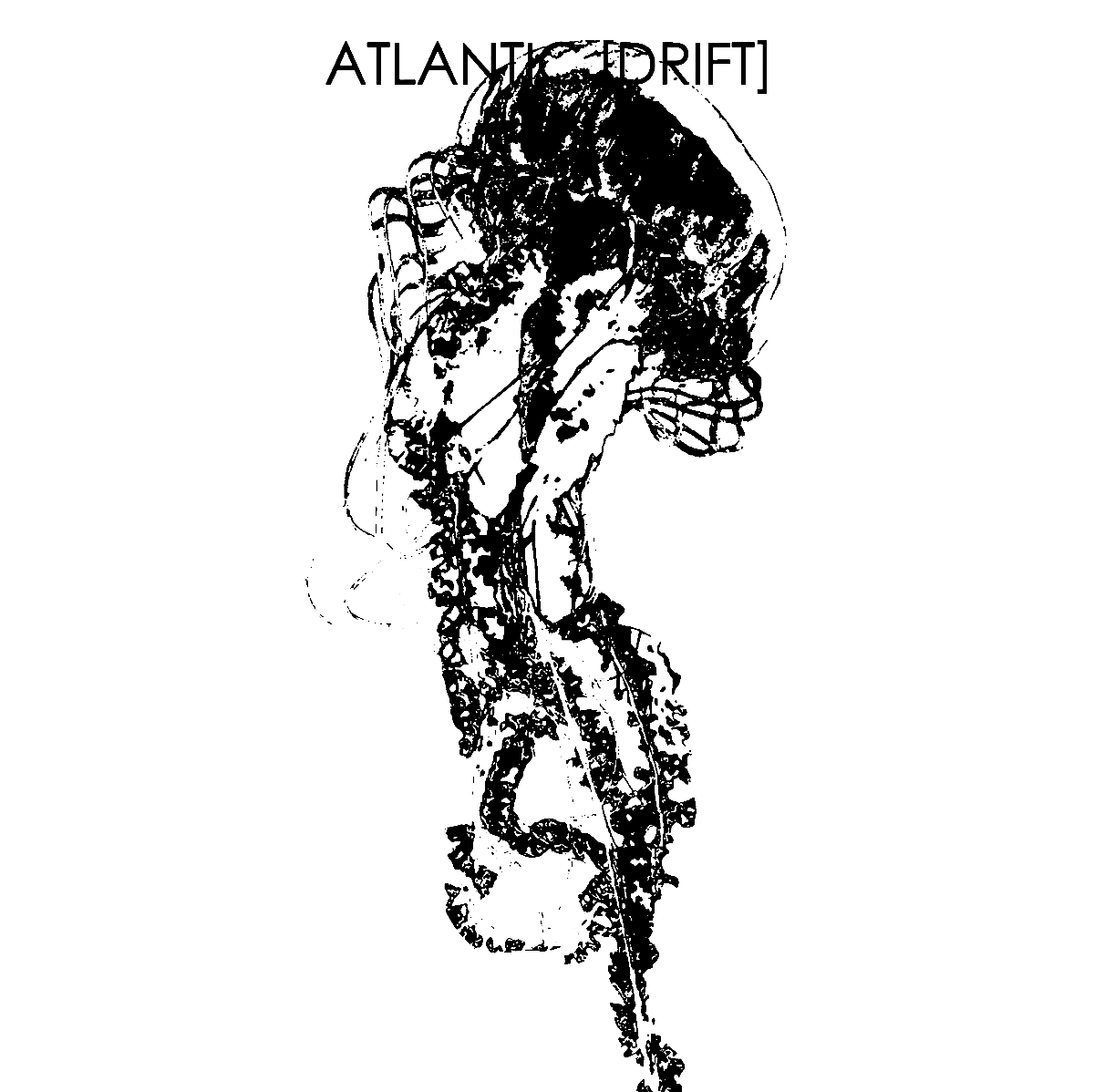 ATLANTIC DRIFT(アトランティックドリフト) | スケートボード アパレル ブランド