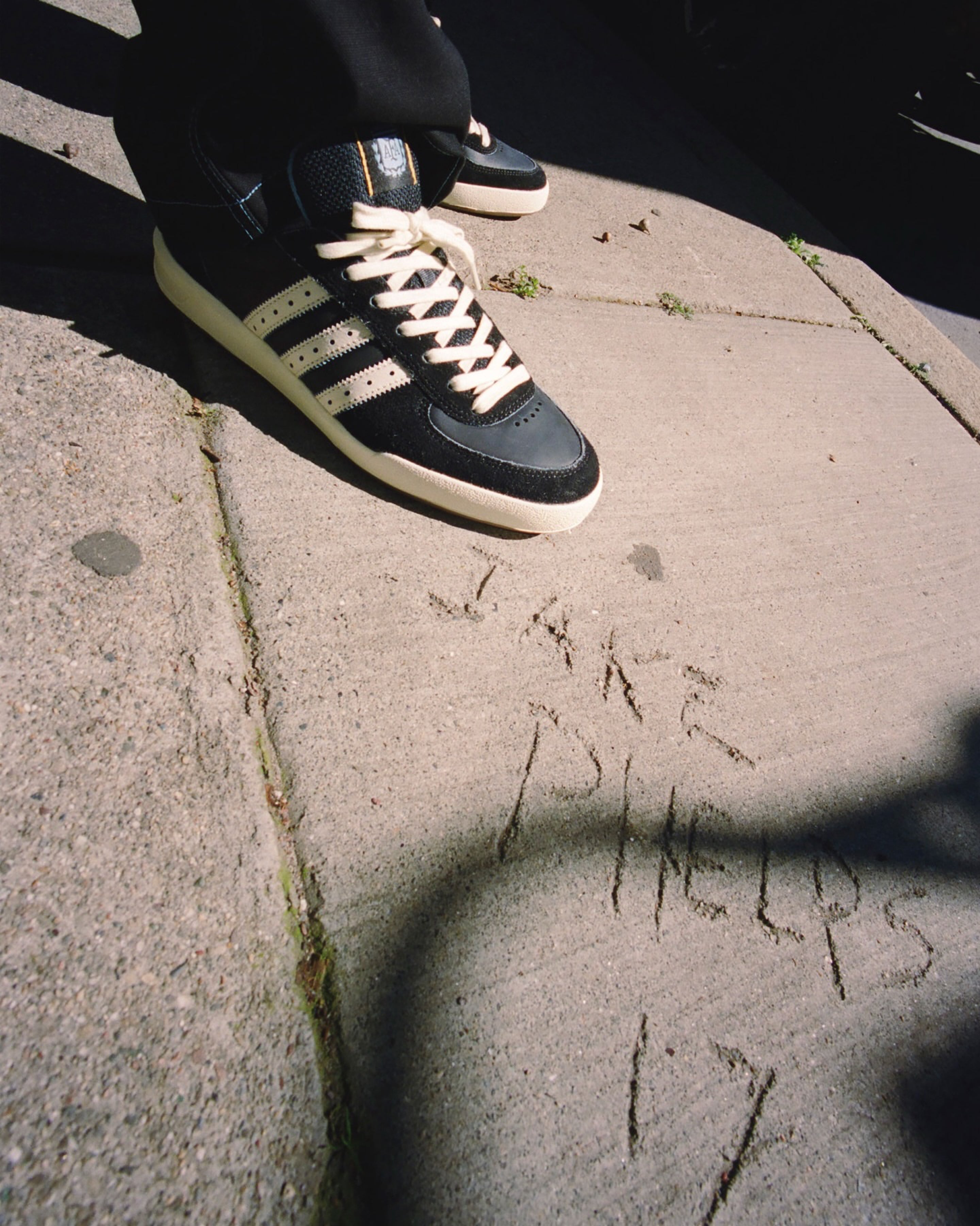 ADIDAS<br>THRASHER x AFA