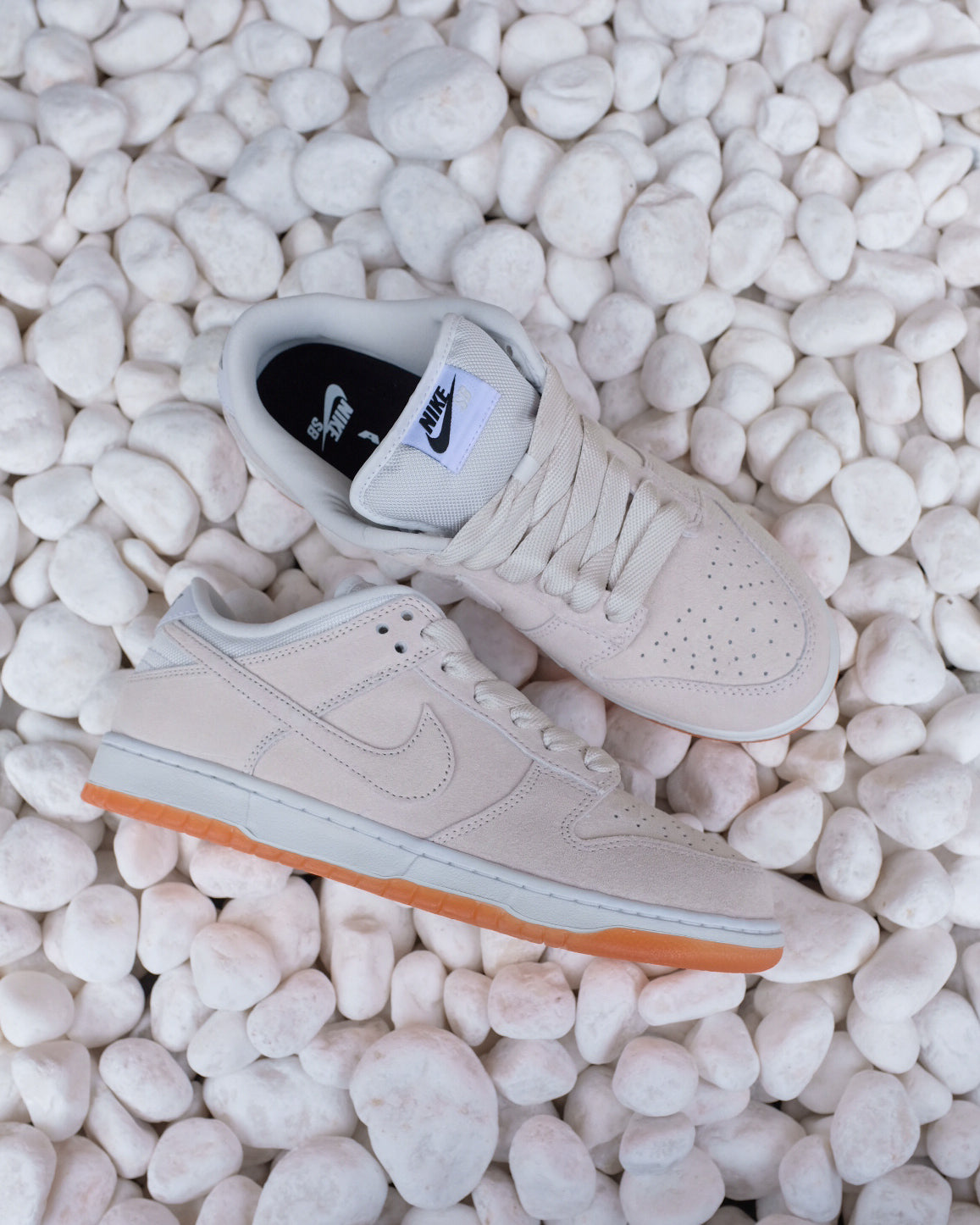 NIKE SB - DUNK LOW PRO B 