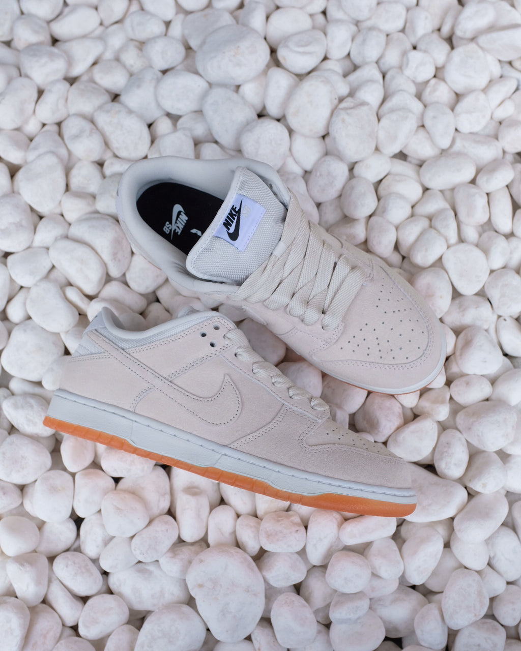 NIKE SB  - DUNK LOW PRO B "Pale Ivory"