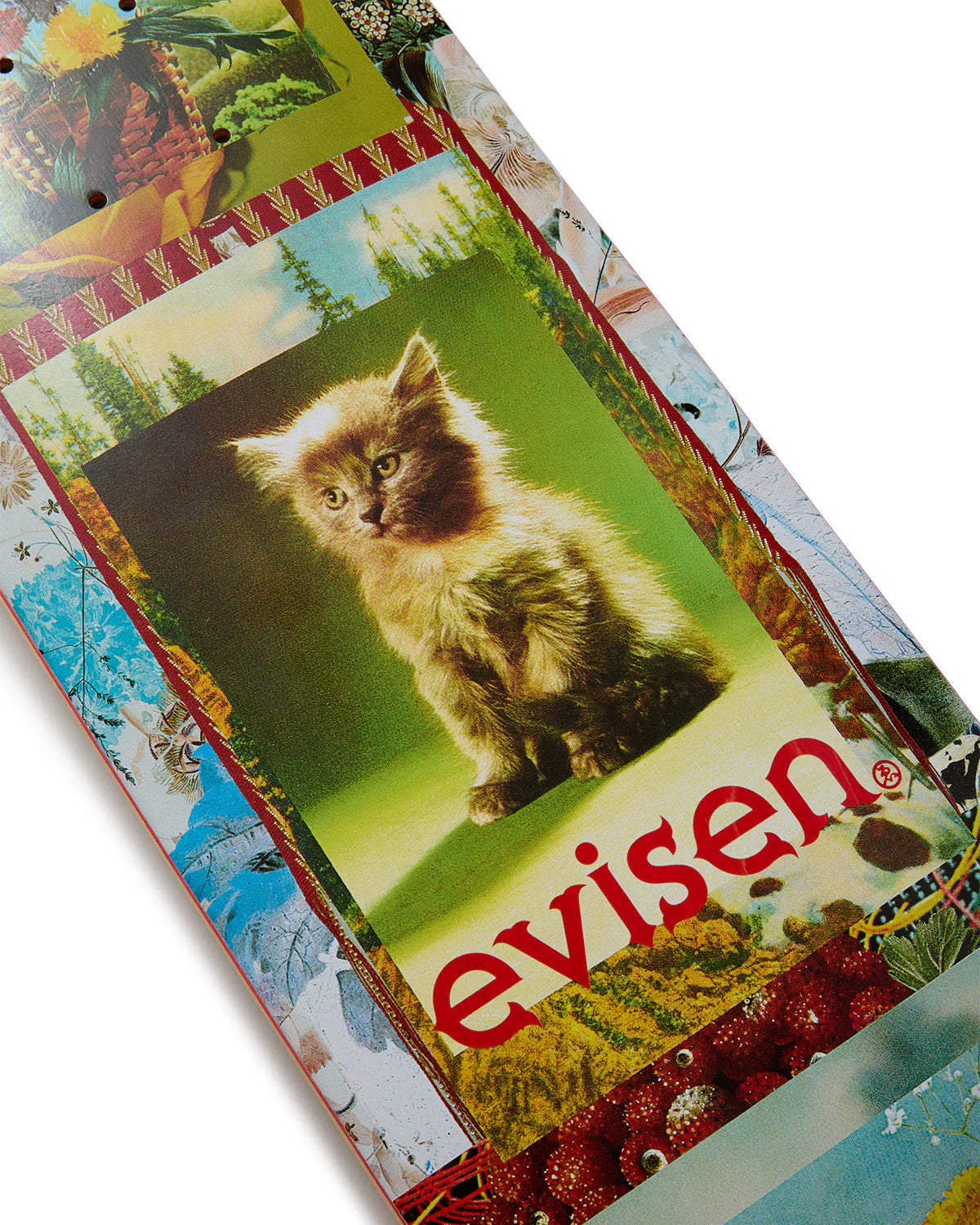EVISEN Skateboards - Feline Machine 8.125"