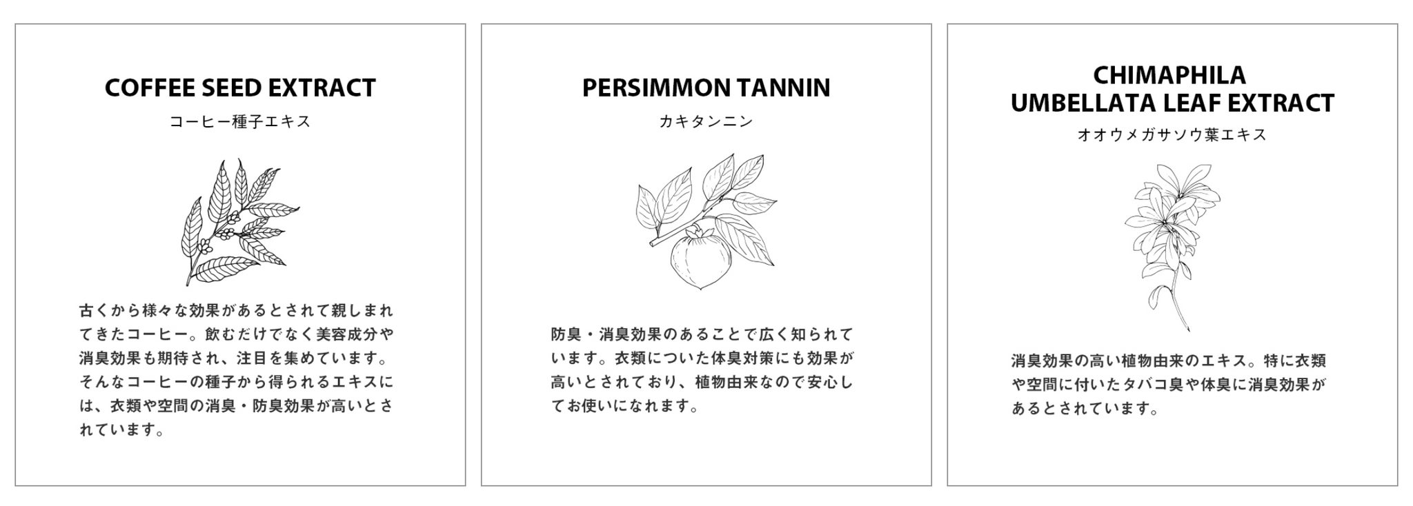 FRAGRANCE CAFE - AIR&FABRIC "ORIENTAL"