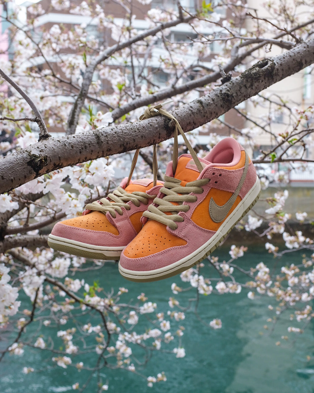 NIKE SB - Dunk Low Pro “Red Stardust”