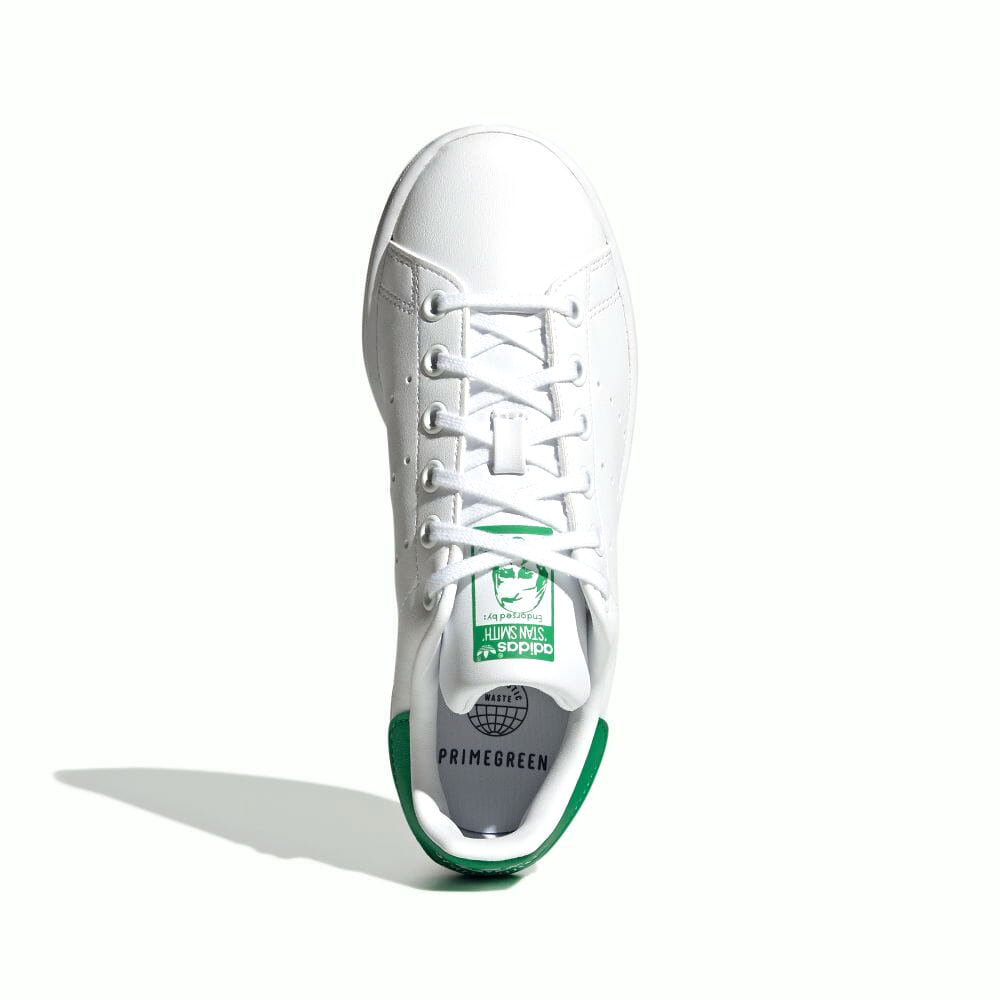 ADIDAS SKATEBOARDING - STAN SMITH ADV "FWHT/GR/OWHT"