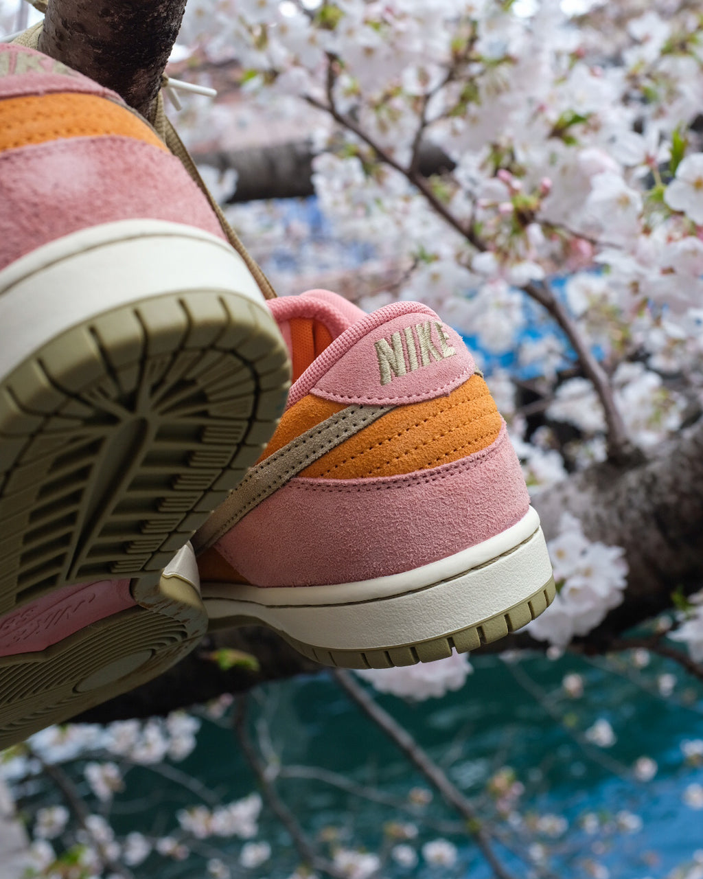 NIKE SB - Dunk Low Pro “Red Stardust”
