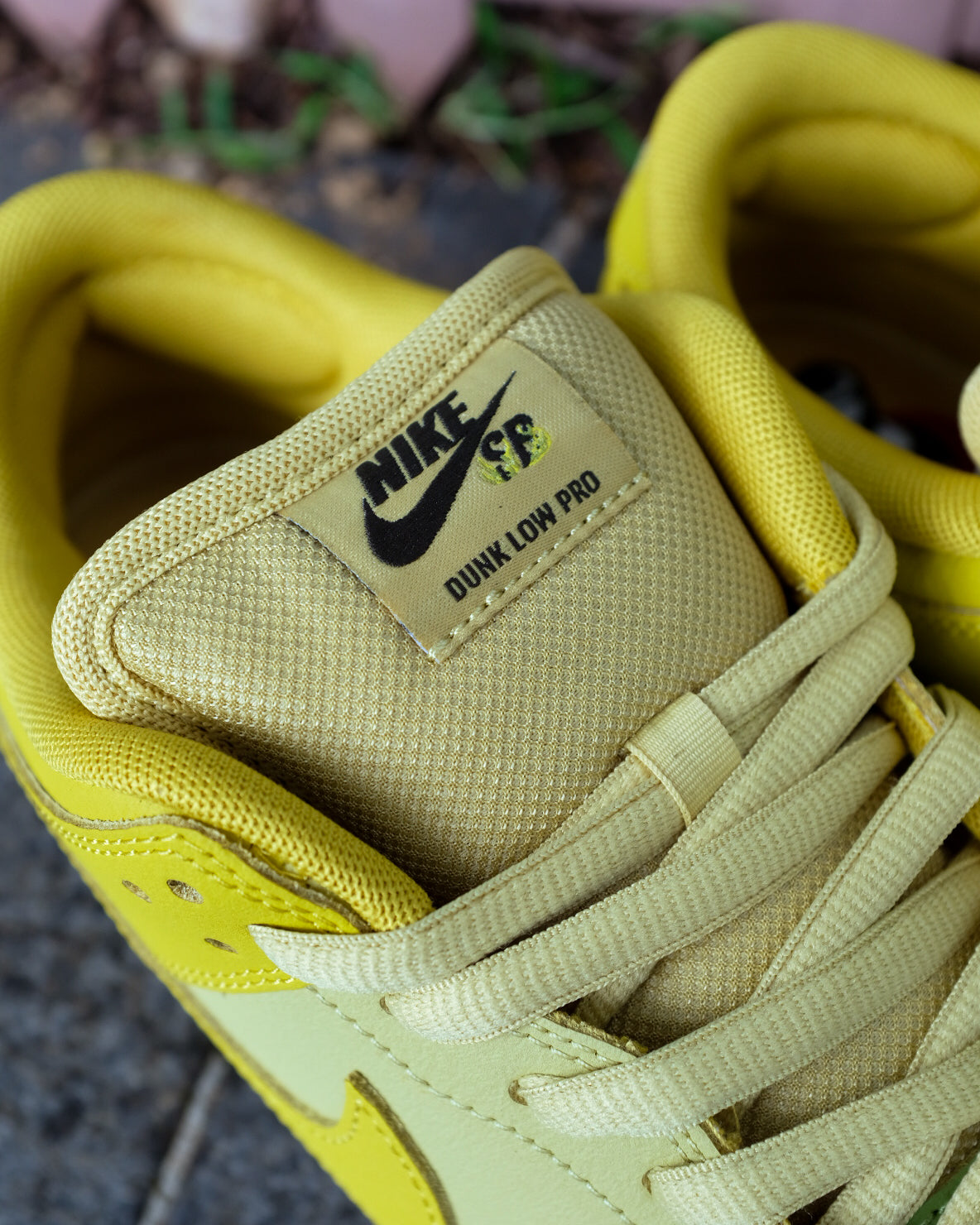 NIKE SB - DUNK LOW PRO WC "Saffron Quartz"