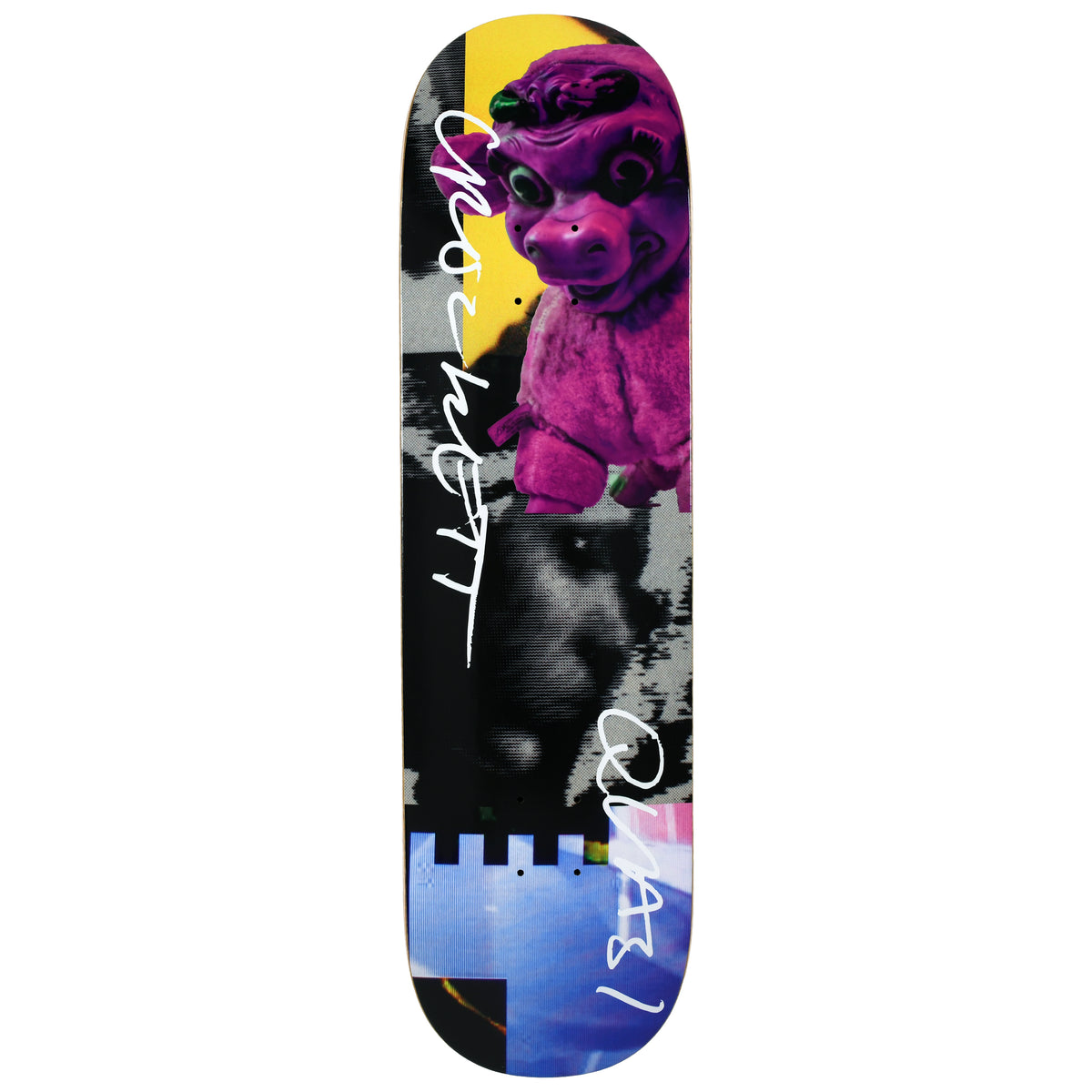 QUASI - Crockett 'Cow' 8.5"