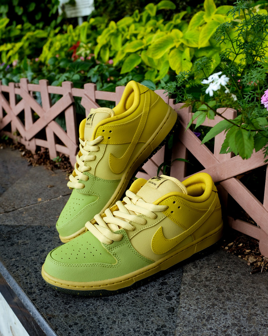 NIKE SB - DUNK LOW PRO WC "Saffron Quartz"