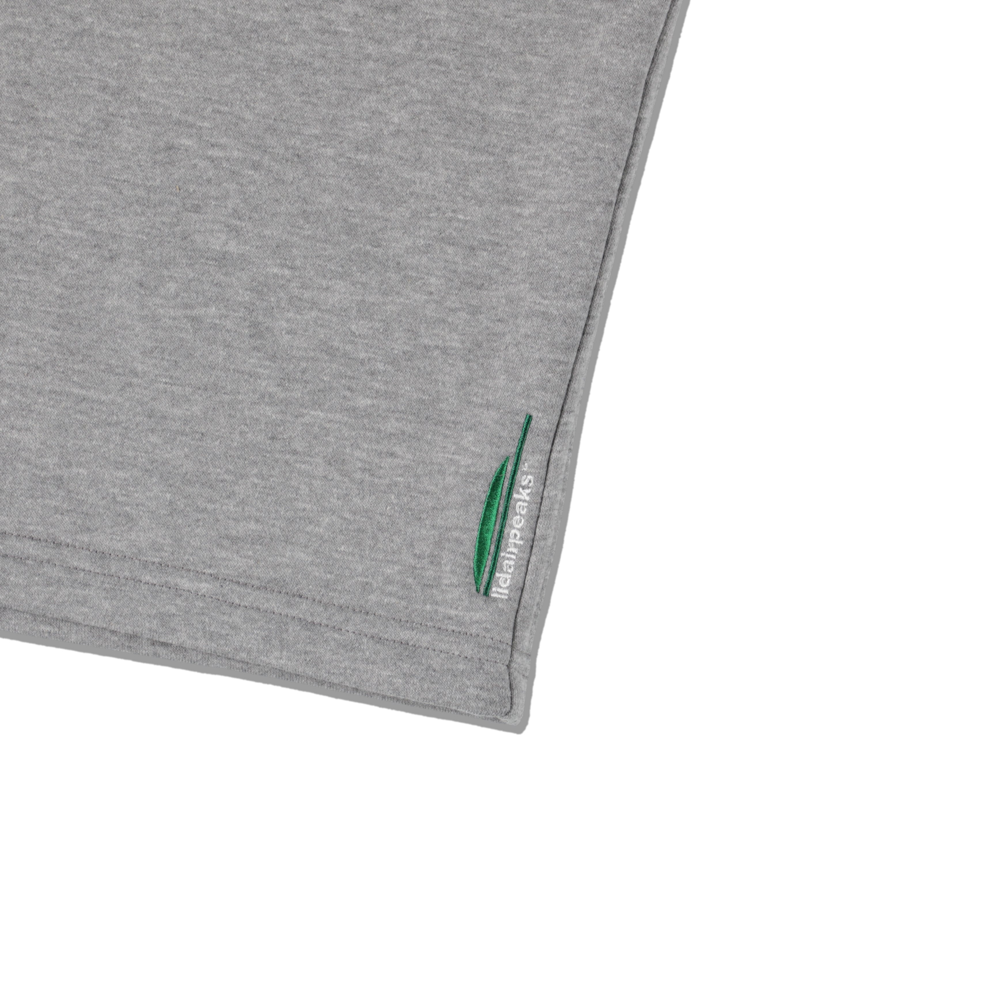 Lidairpeaks - EMB Baggy shorts "Grey"