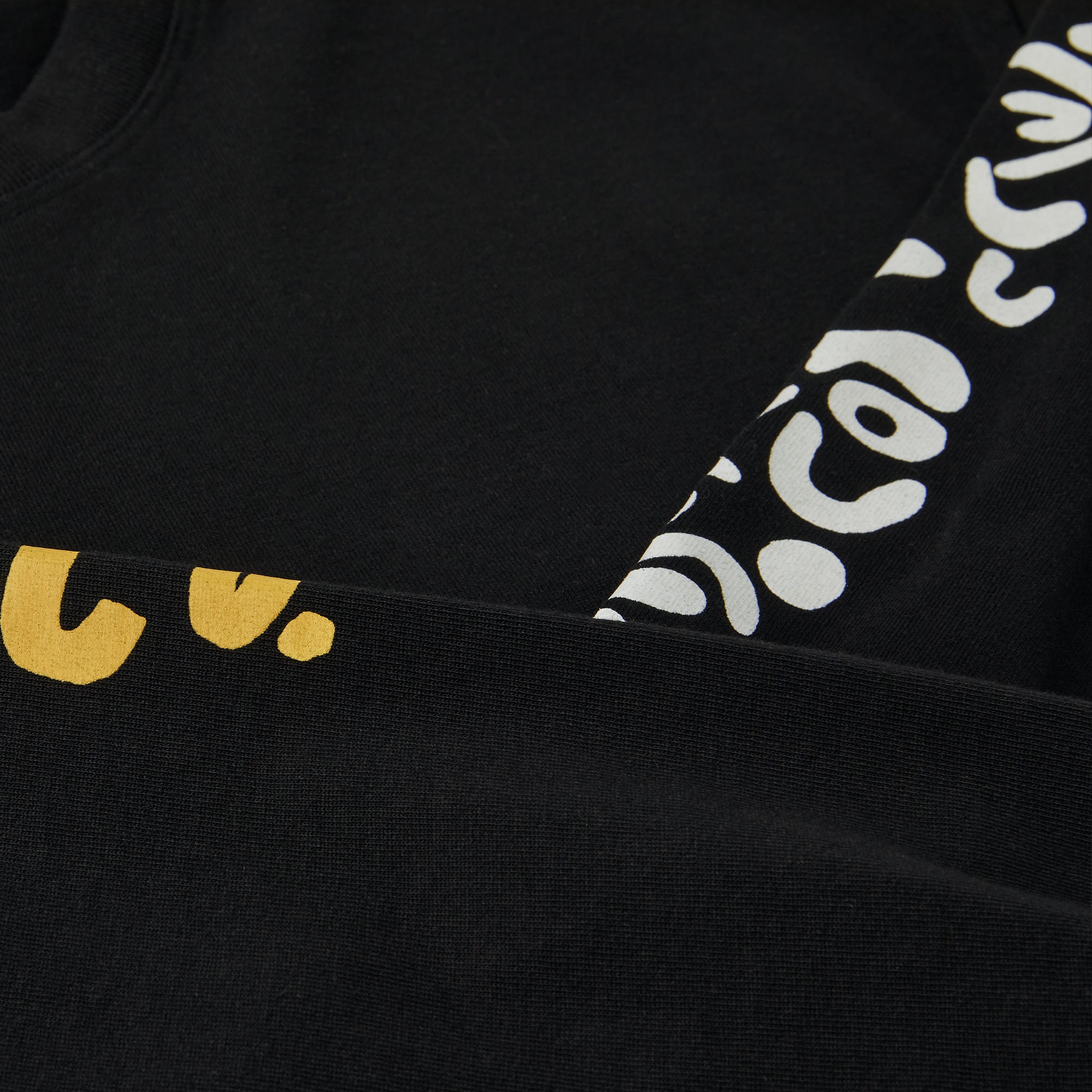 POLAR - Facescape Longsleeve "Black"