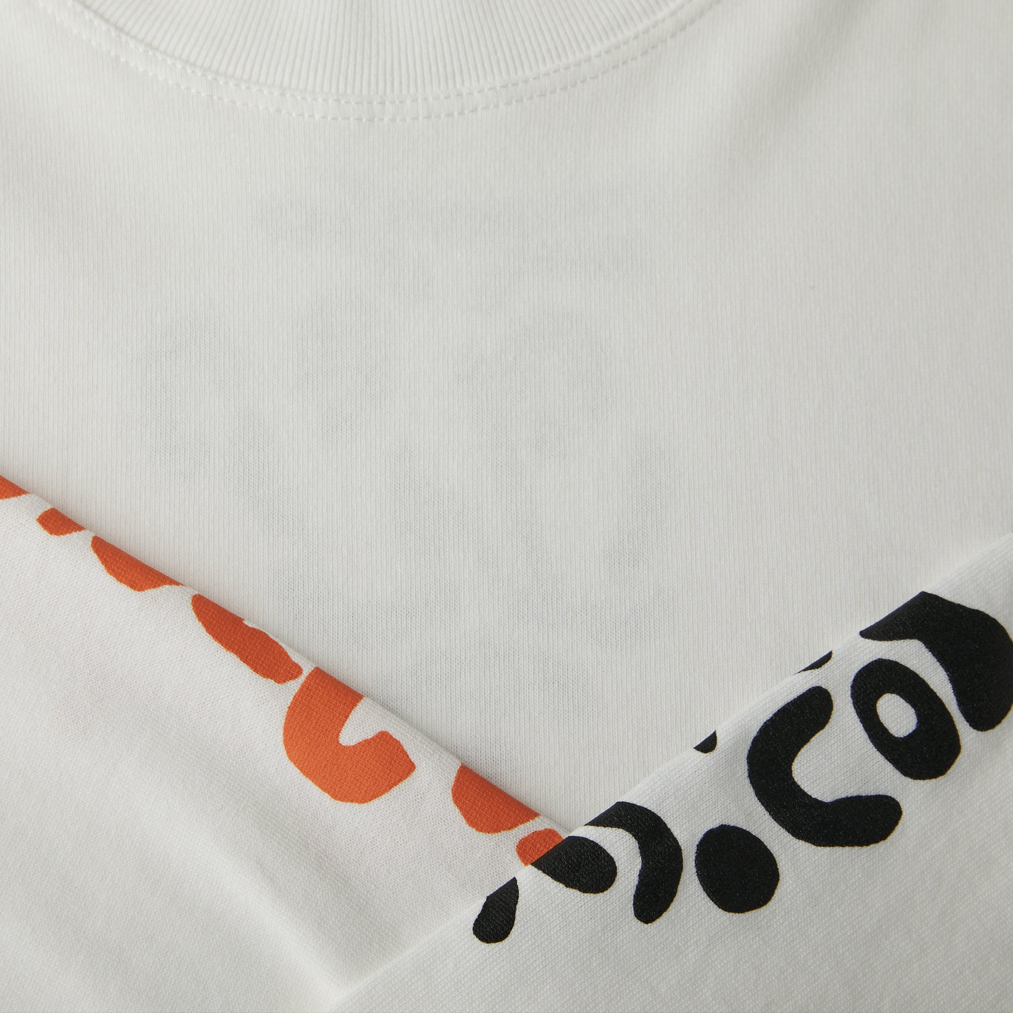 POLAR - Facescape Longsleeve "White"