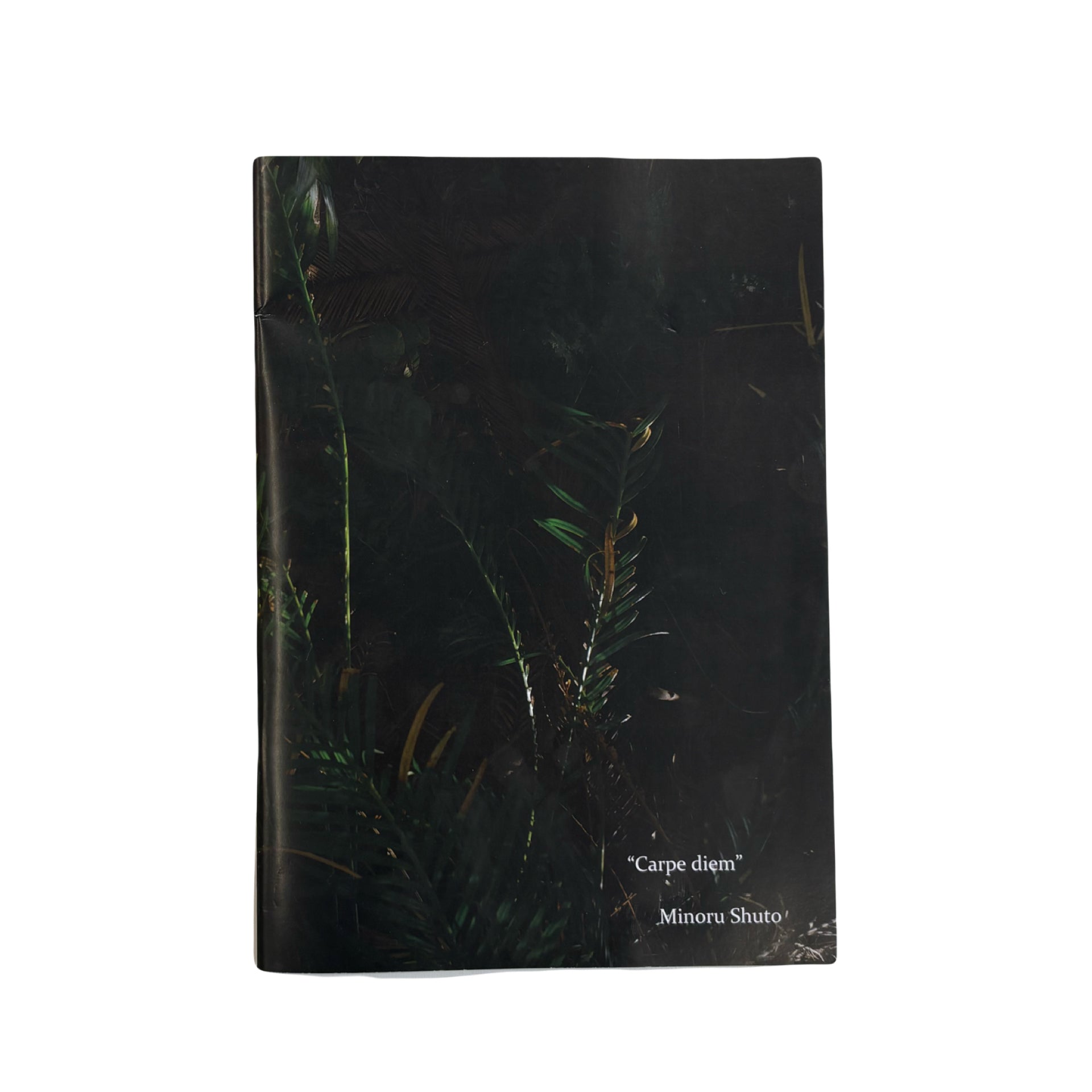 HAZE PRODUCTION - DEAD POETS SOCIETY DVD&ZINE