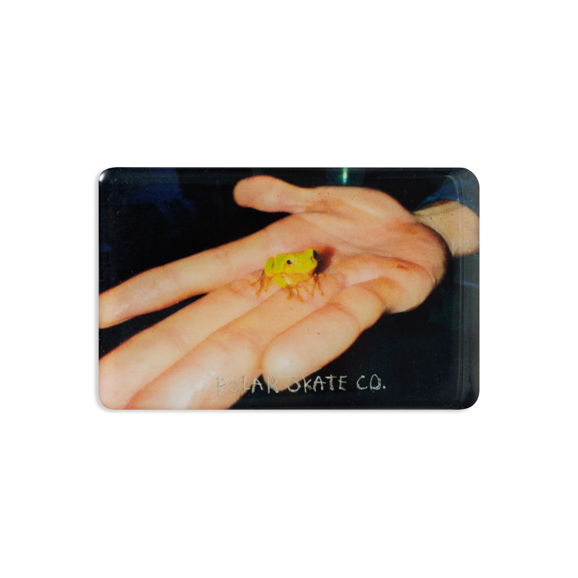 POLAR - Magnet | Frog "Multi"