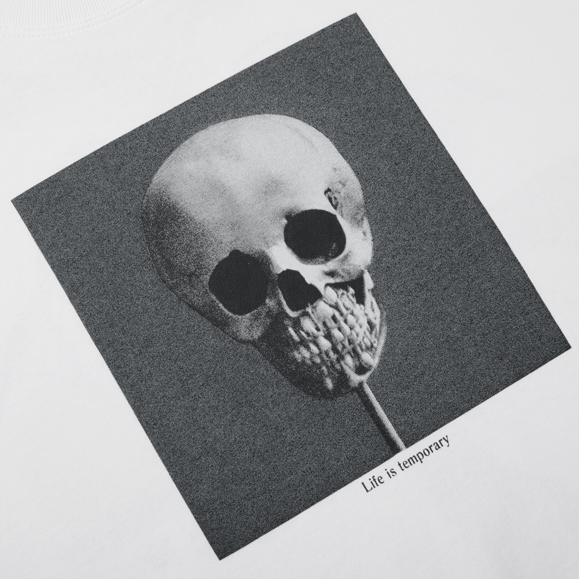 POLAR - Morphology Tee   "White"