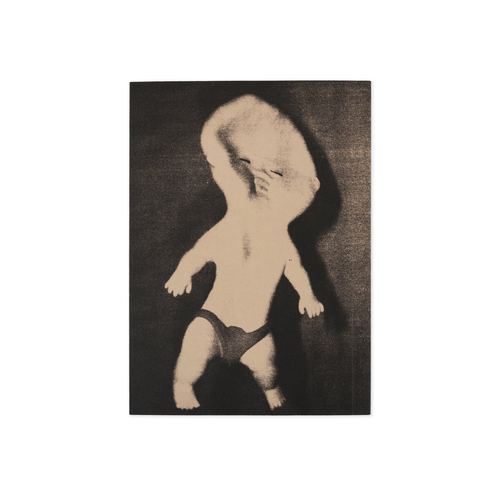 POLAR - Everything Is Normal Book