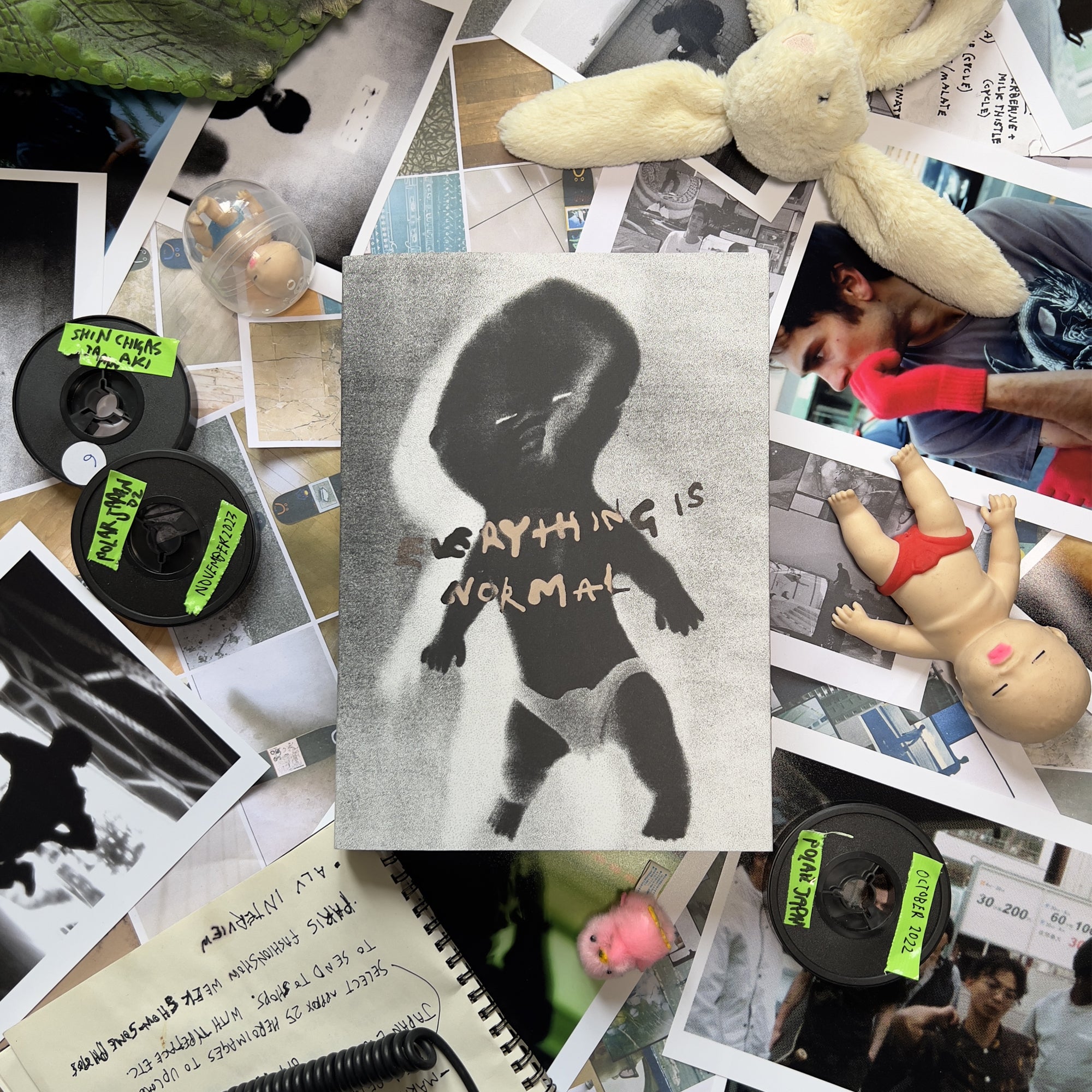 POLAR - Everything Is Normal Book