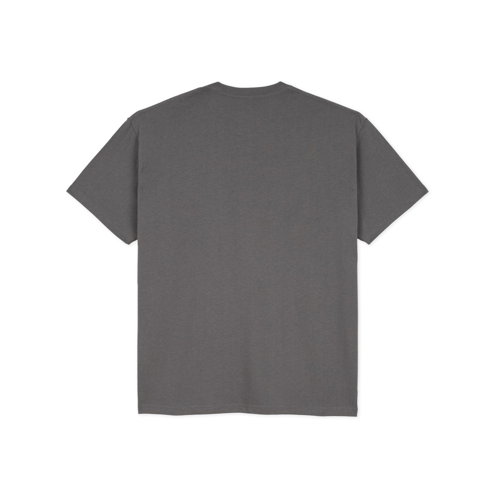 POLAR - Everything Is Normal Tee "Graphite"