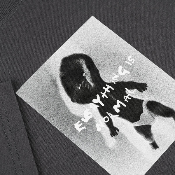 POLAR - Everything Is Normal Tee "Graphite"