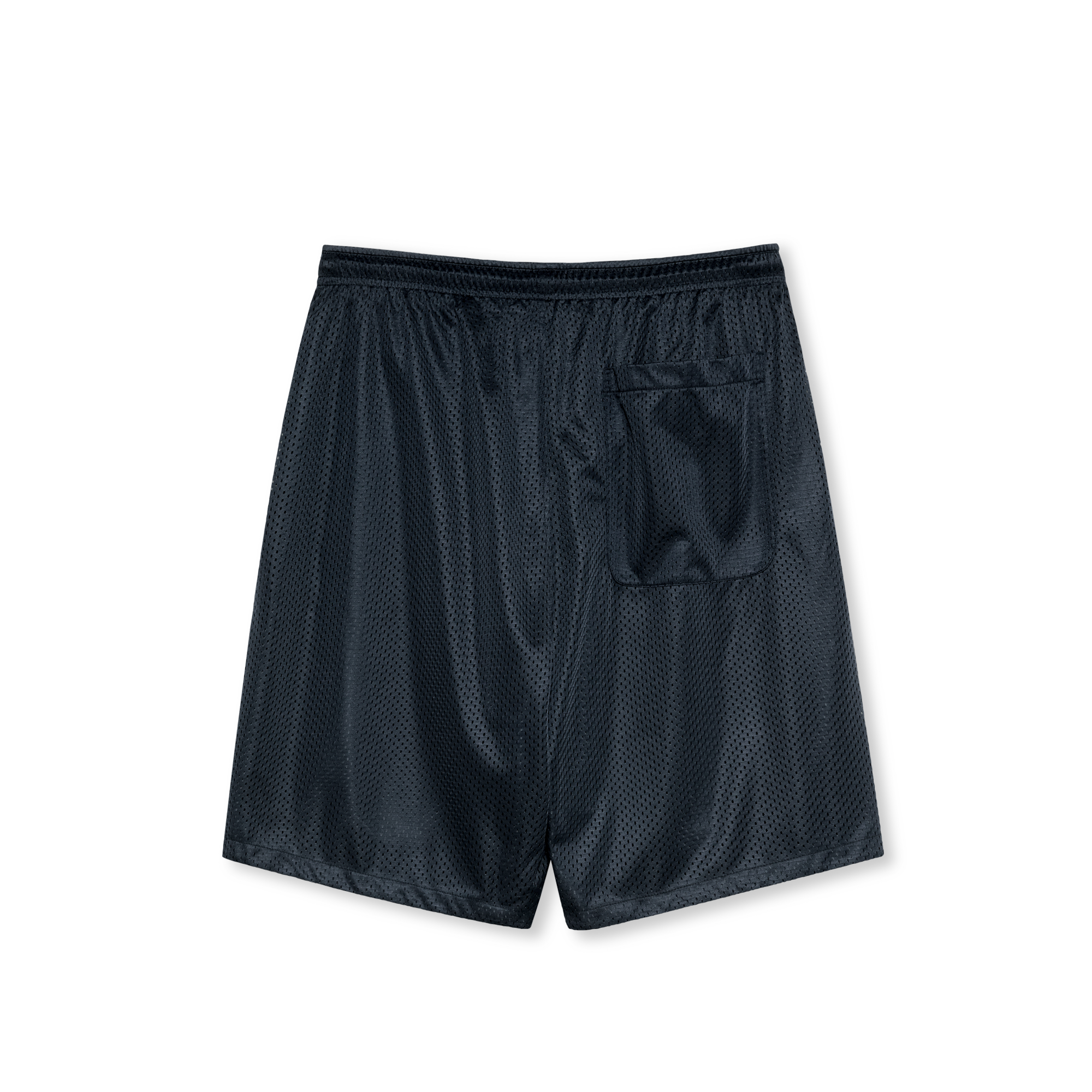 POLAR - Ray Shorts "Navy"