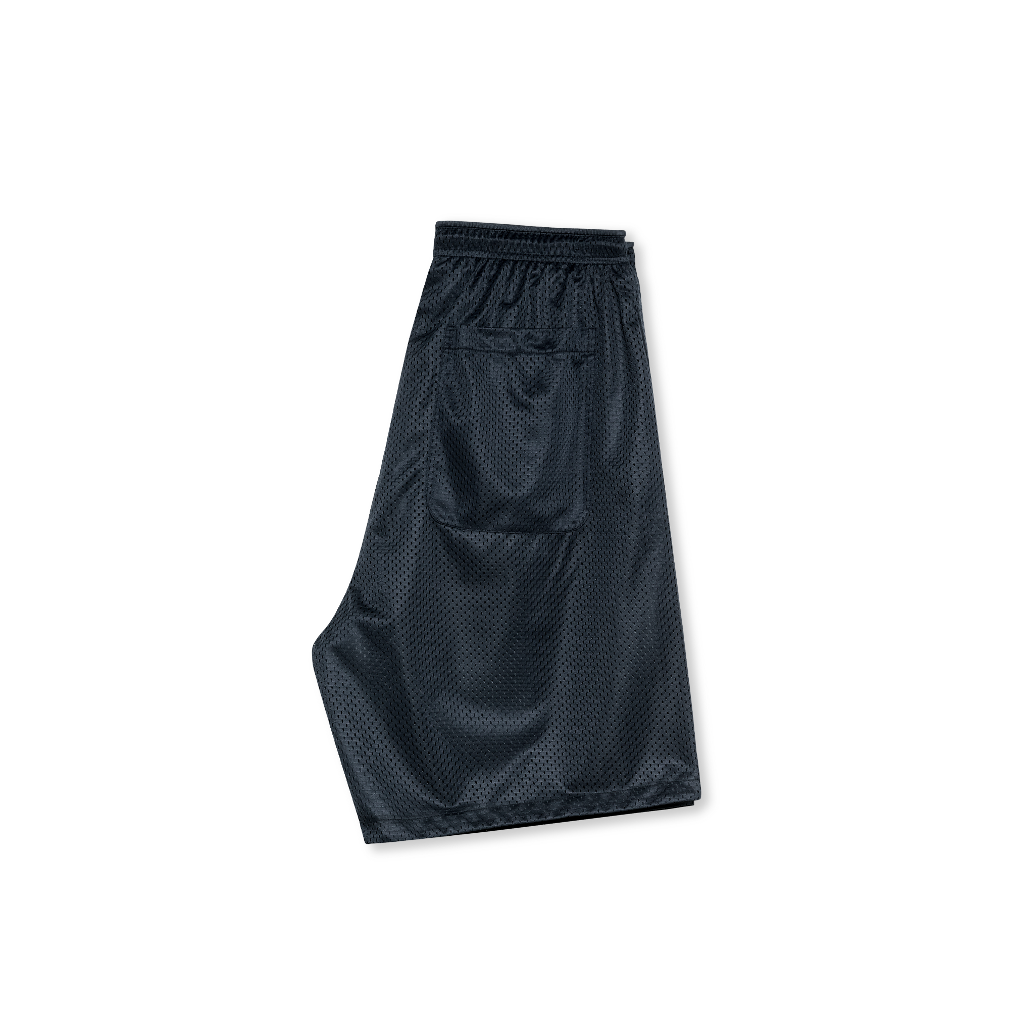 POLAR - Ray Shorts "Navy"