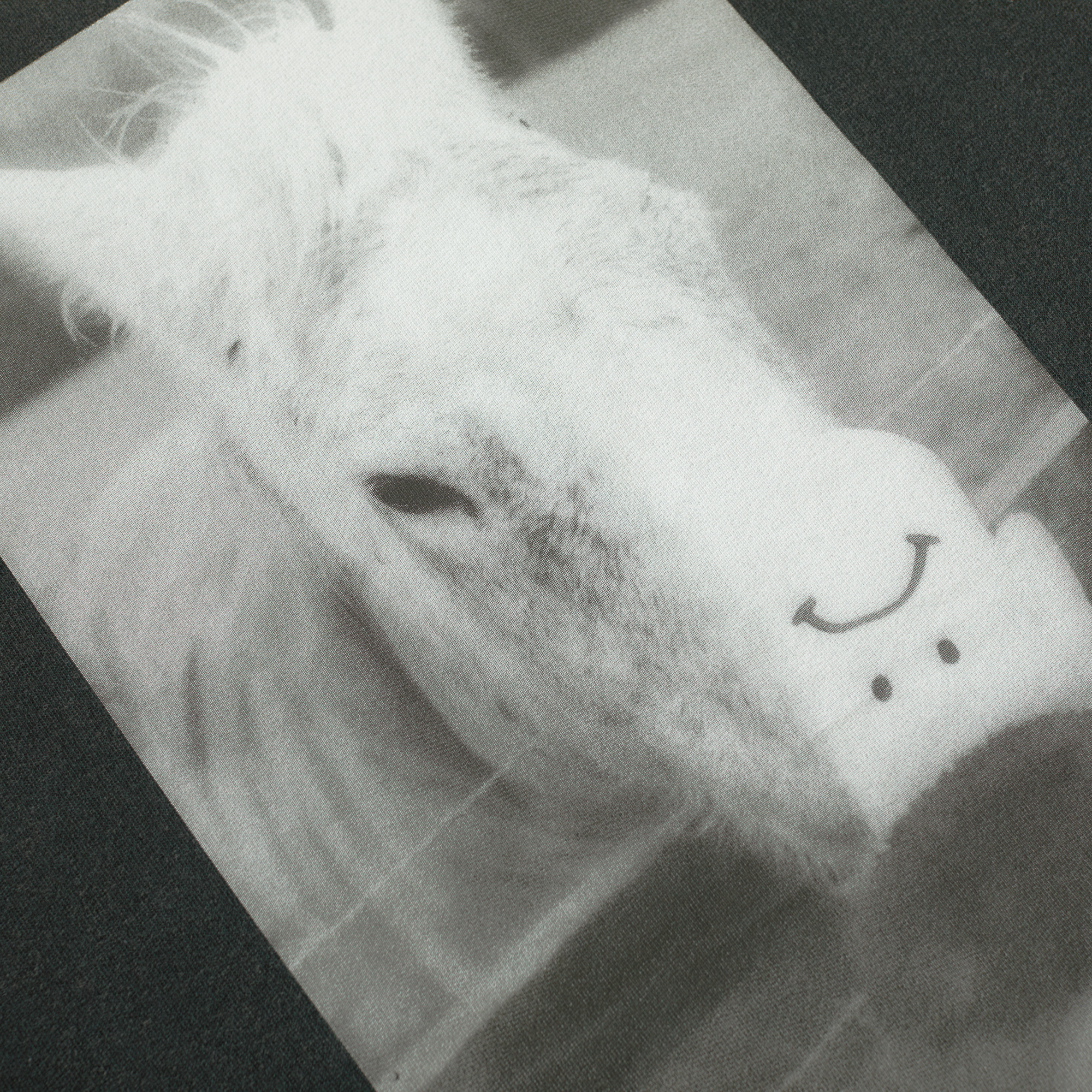 POLAR - Tee | Horse Hand "Silver Black"