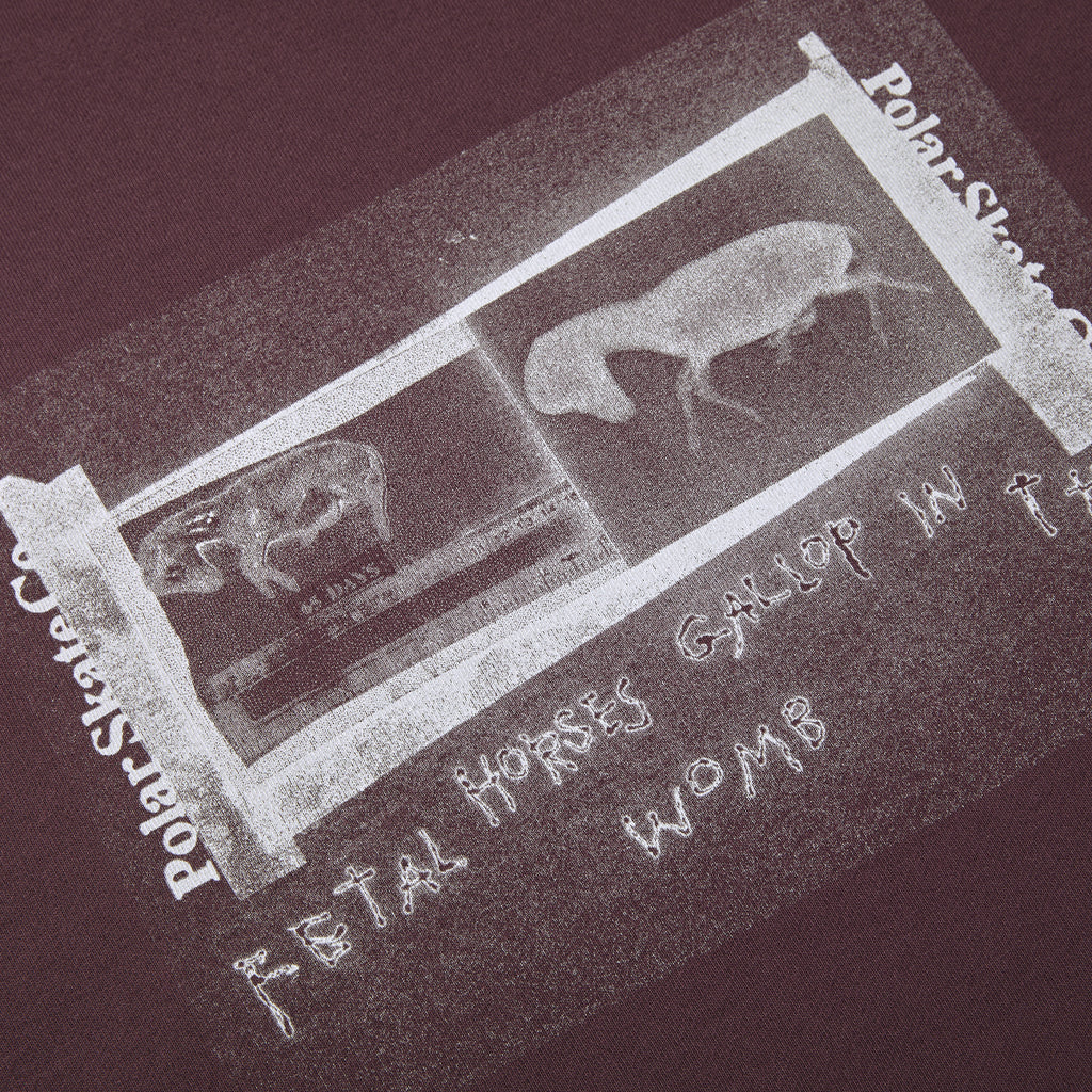 POLAR - Beautiful Horses Dave Hoodie "Plum"