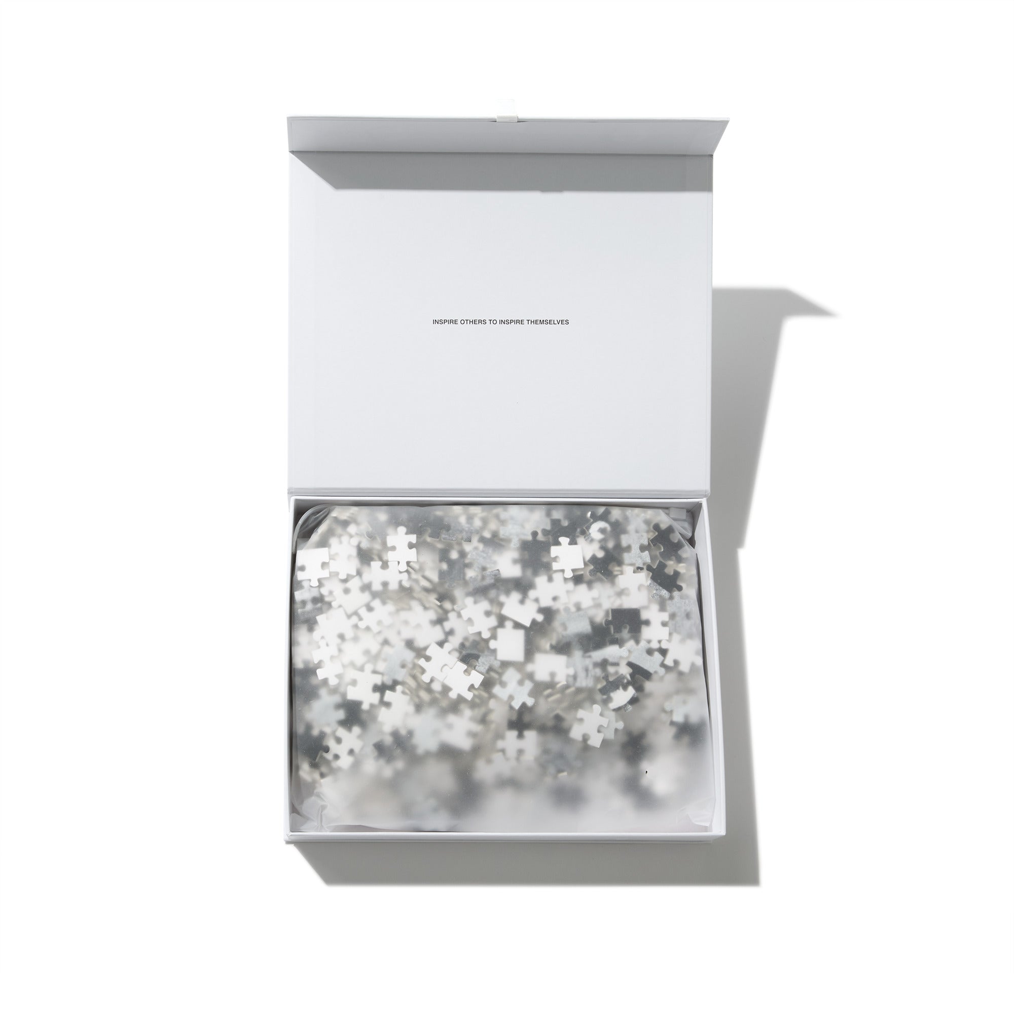 POLAR - Puzzle N.01 "Multi"