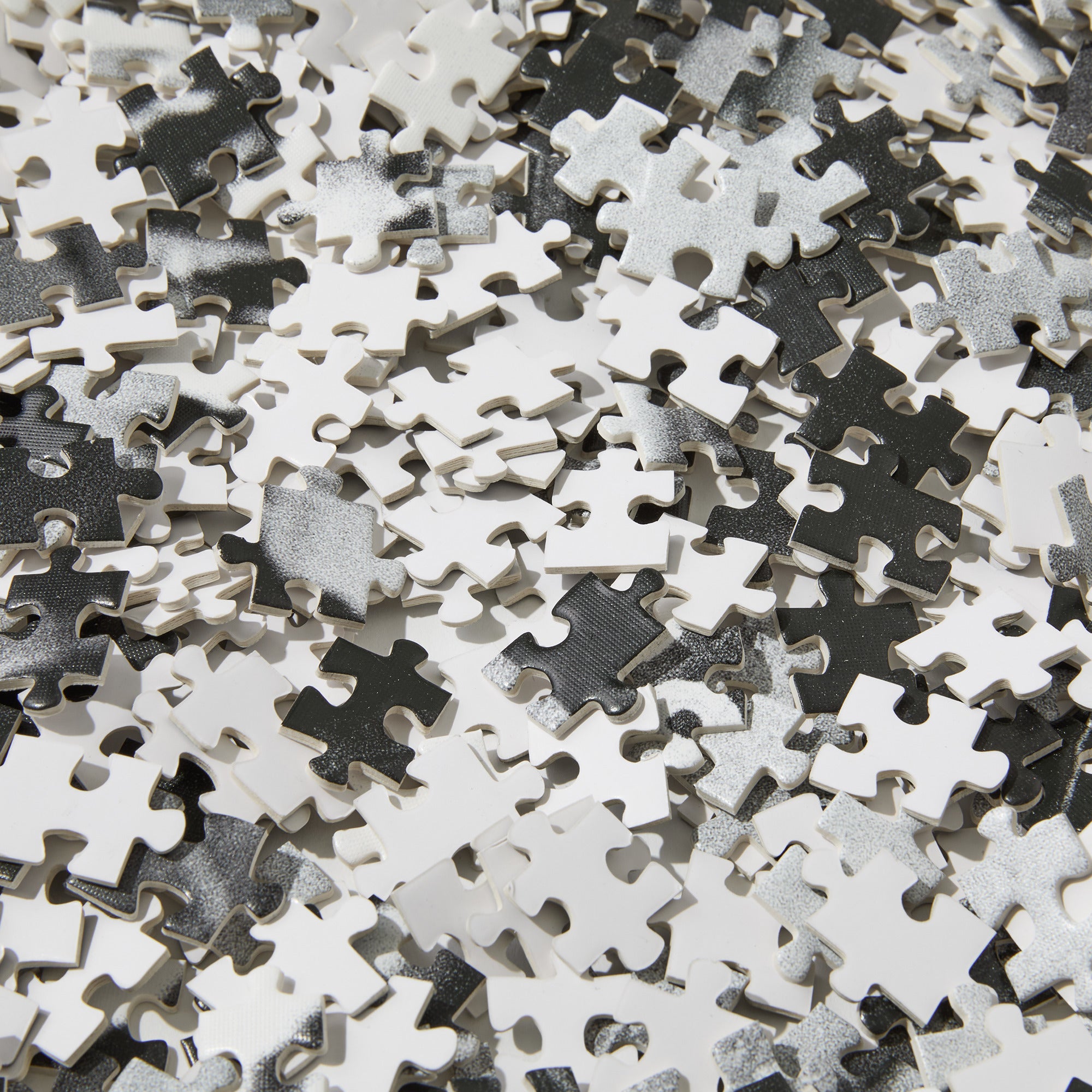 POLAR - Puzzle N.01 "Multi"