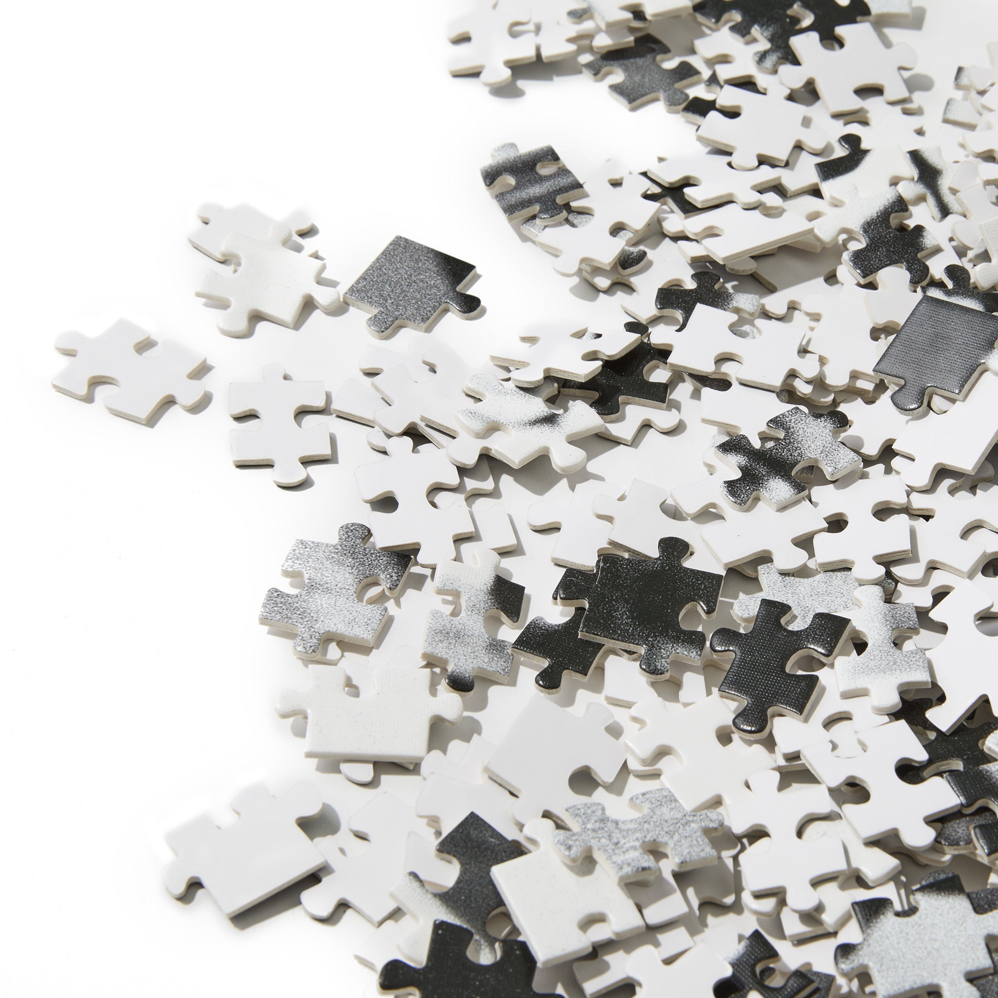 POLAR - Puzzle N.01 "Multi"