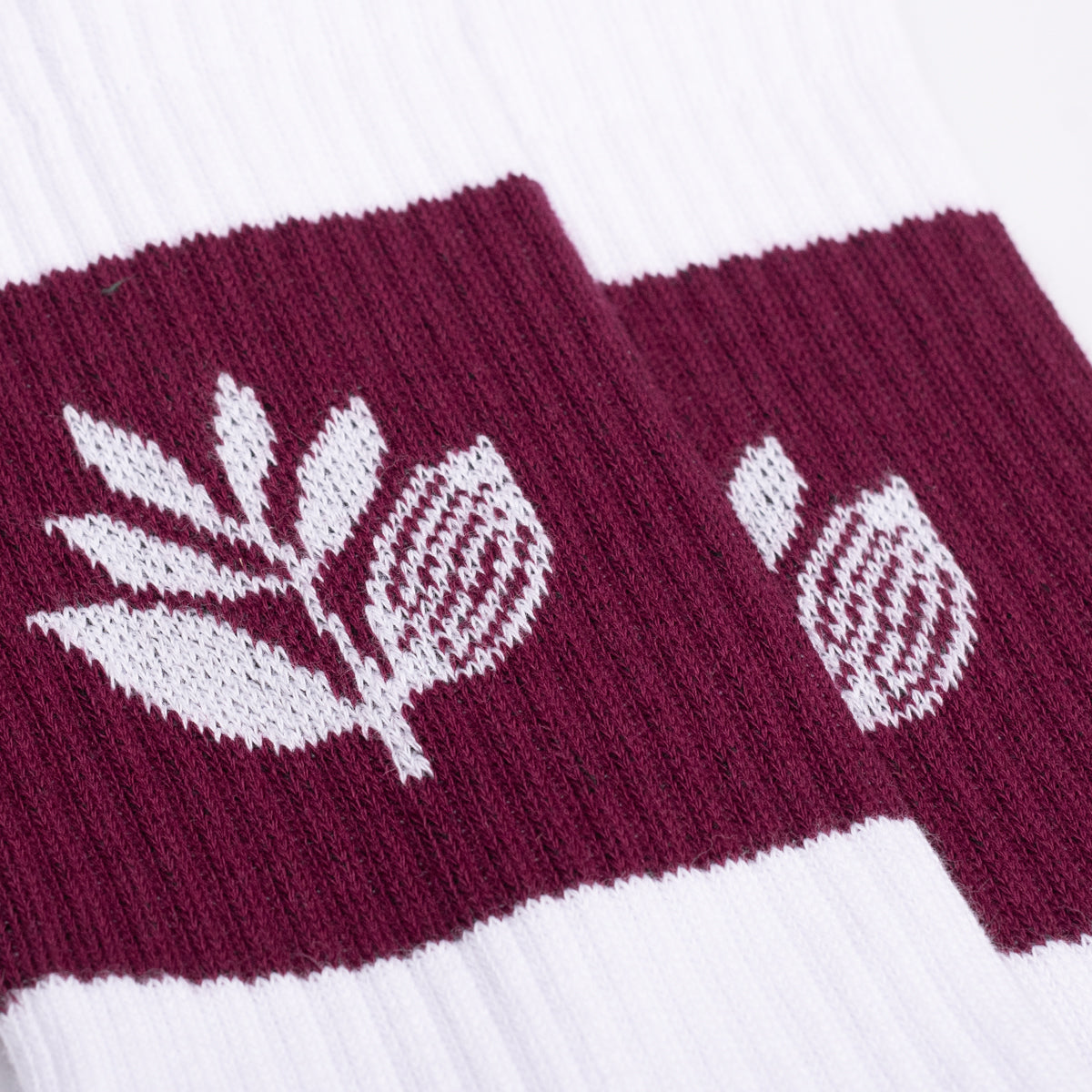 MAGENTA - STRIPE SOCKS "White"
