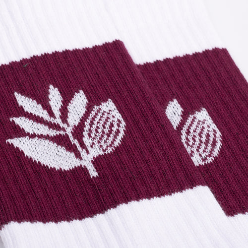 MAGENTA - STRIPE SOCKS "White"