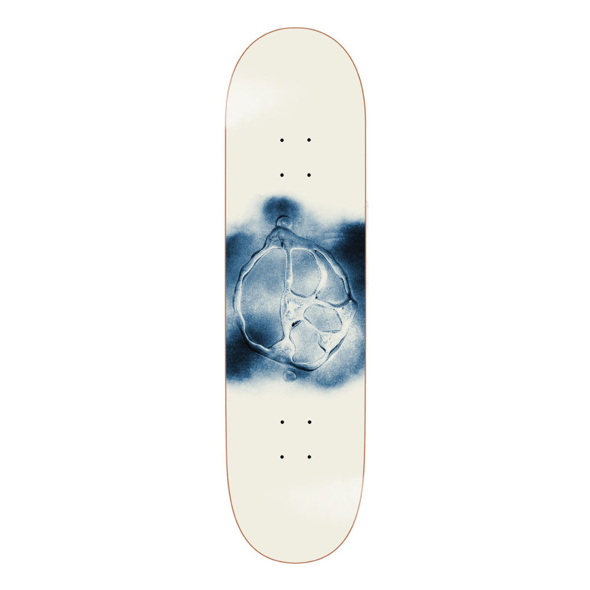 POLAR SKATE CO. WIN25HW – Lacquer