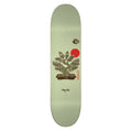 MAGENTA - SHOGO ZAMA HOME SERIES - 7.875"/8"/8.5"