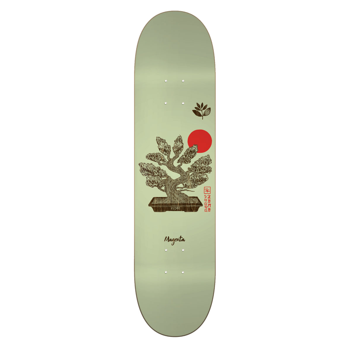 MAGENTA - SHOGO ZAMA HOME SERIES - 7.875"/8"/8.5"