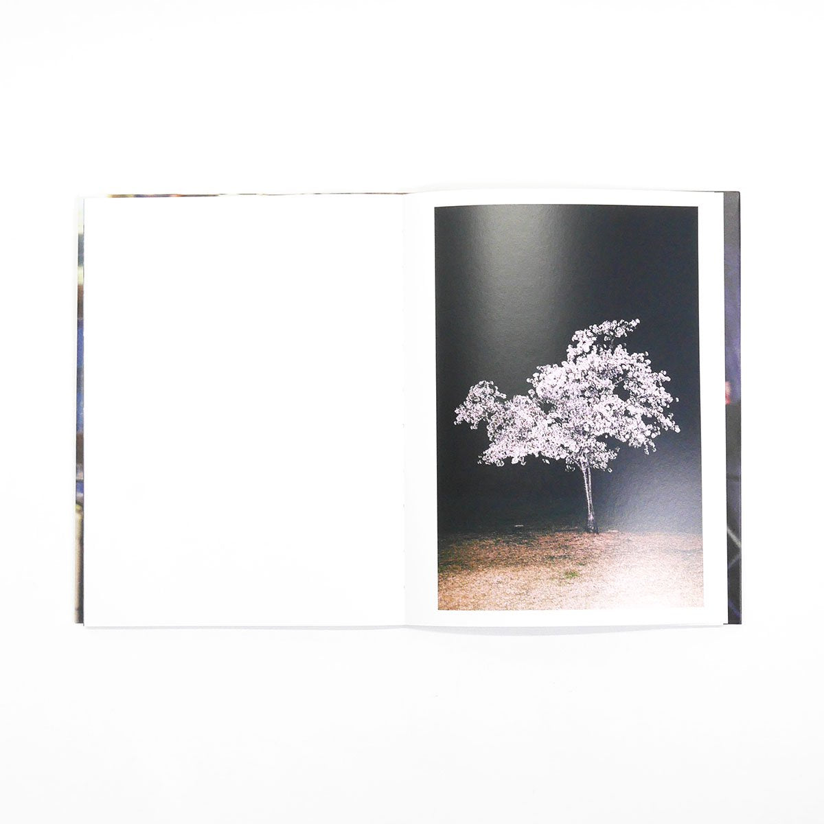 YOSHIMOTO MASAHIRO - 写真集 ”風”